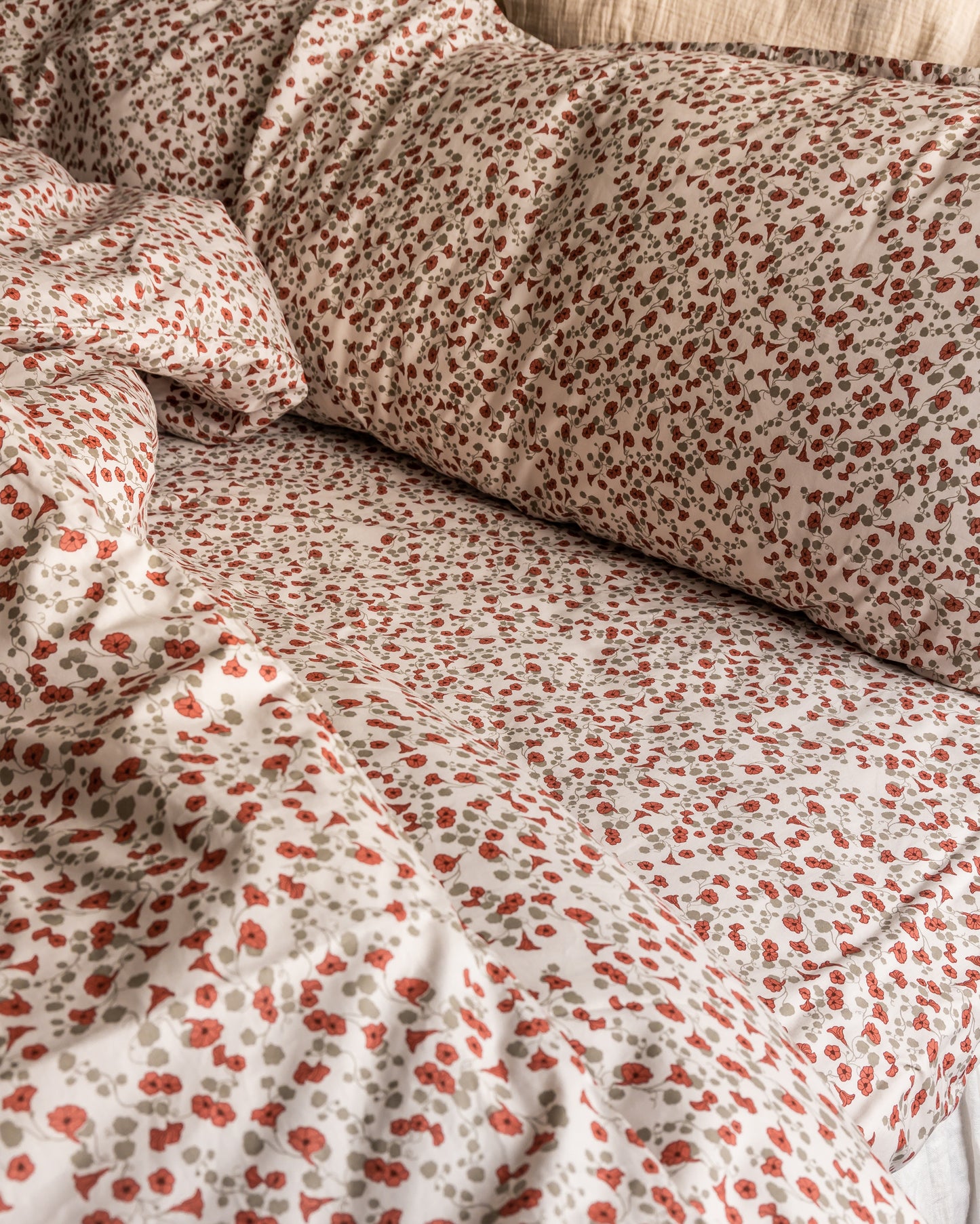 Percale Fitted Sheet Double