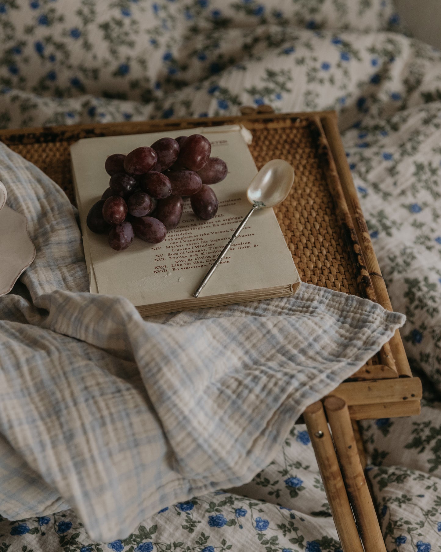 Muslin Blanket 2 pcs