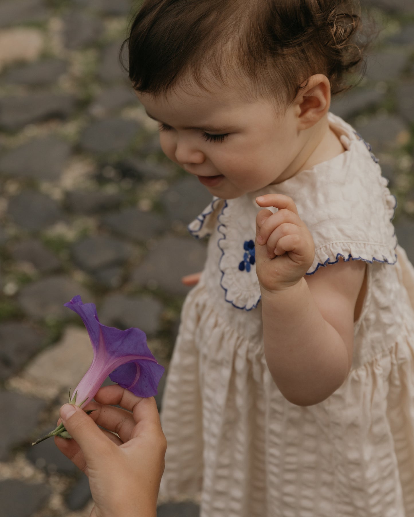 Seersucker Collar Romper Dress