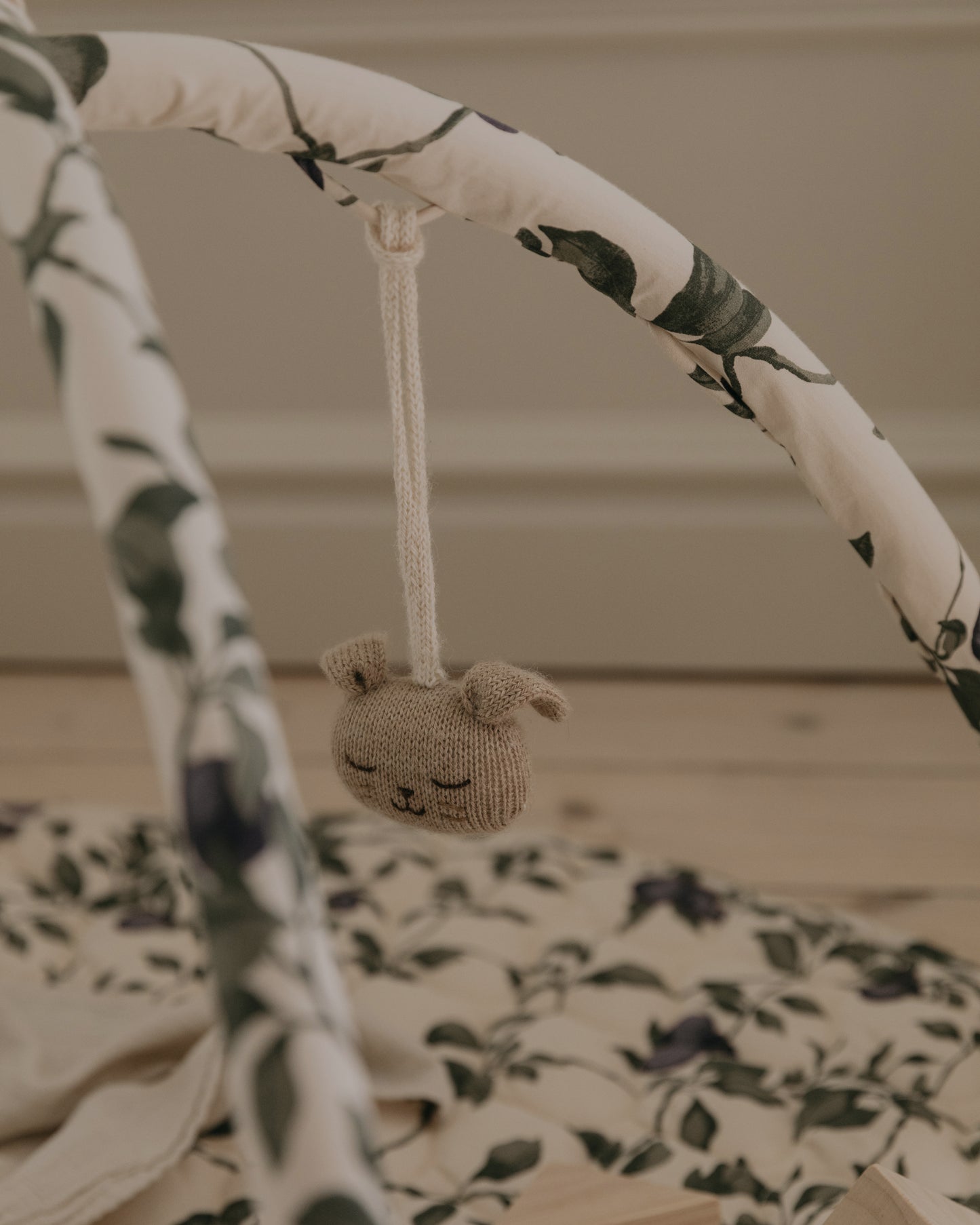 Baby Gym Toy