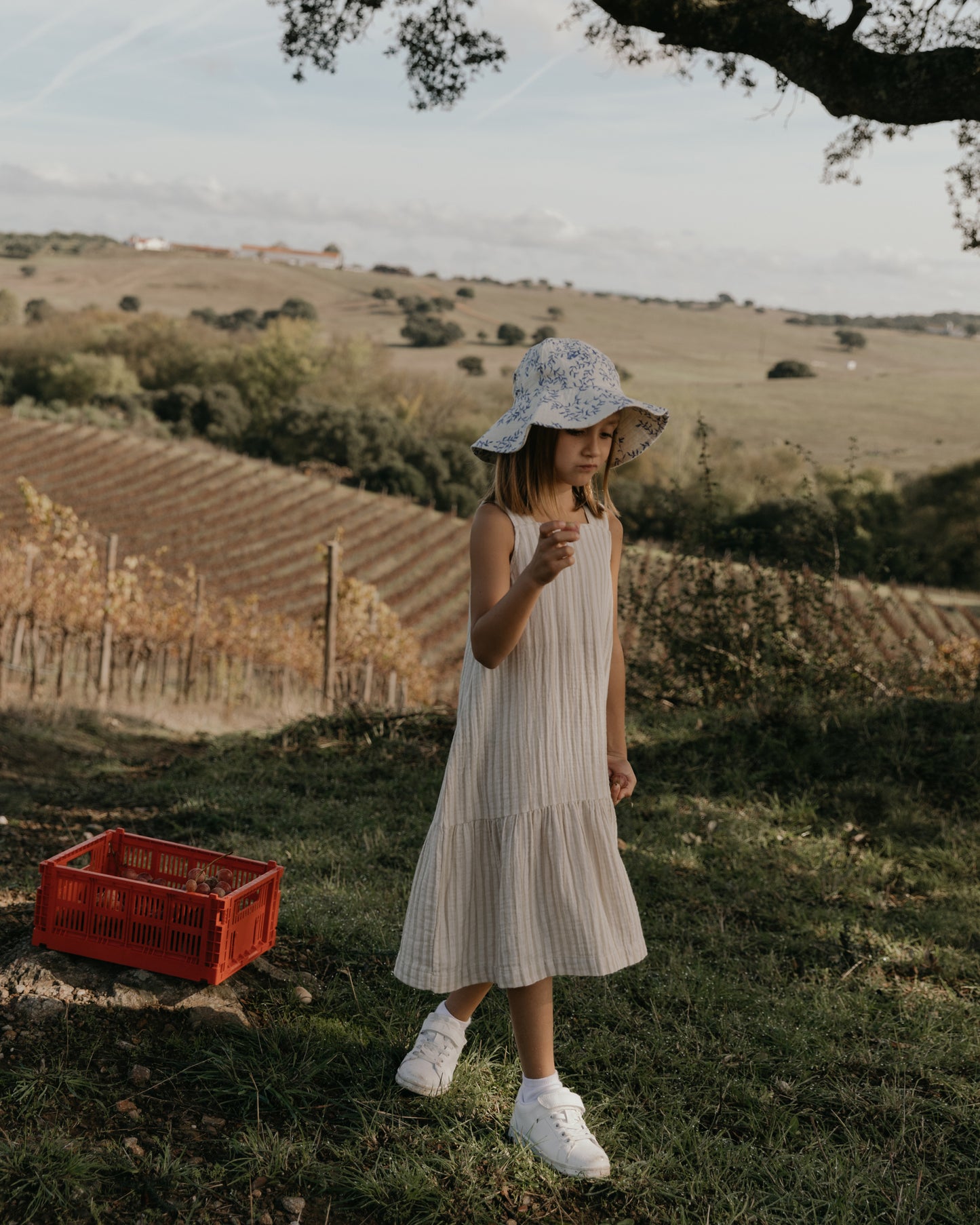 Muslin Dress