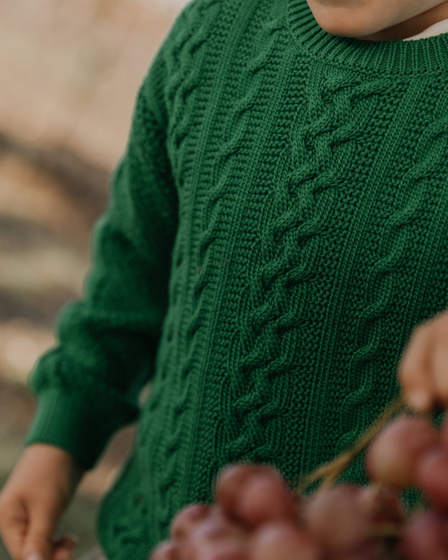 Knitted Cable Sweatshirt