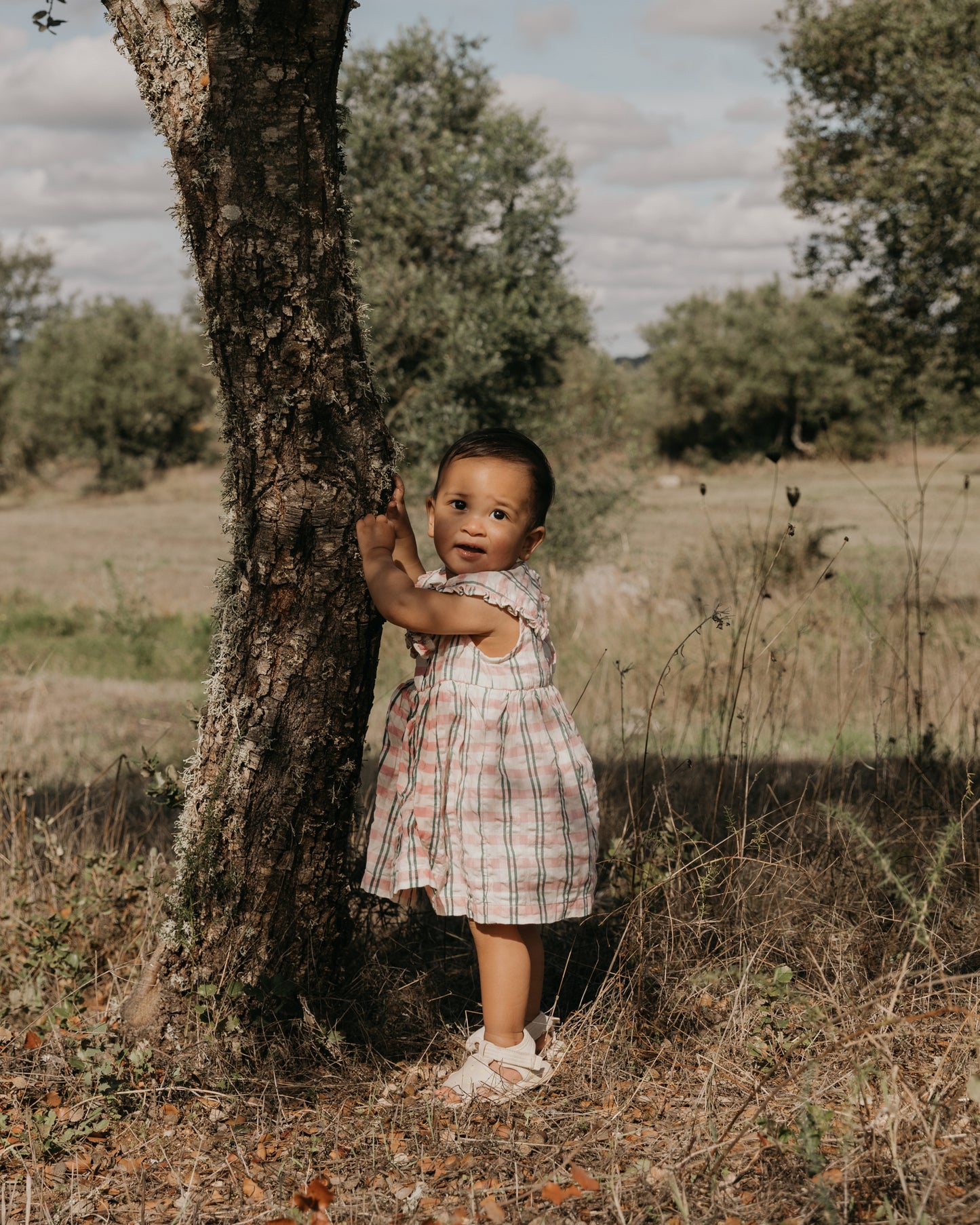 Seersucker Collar Romper Dress