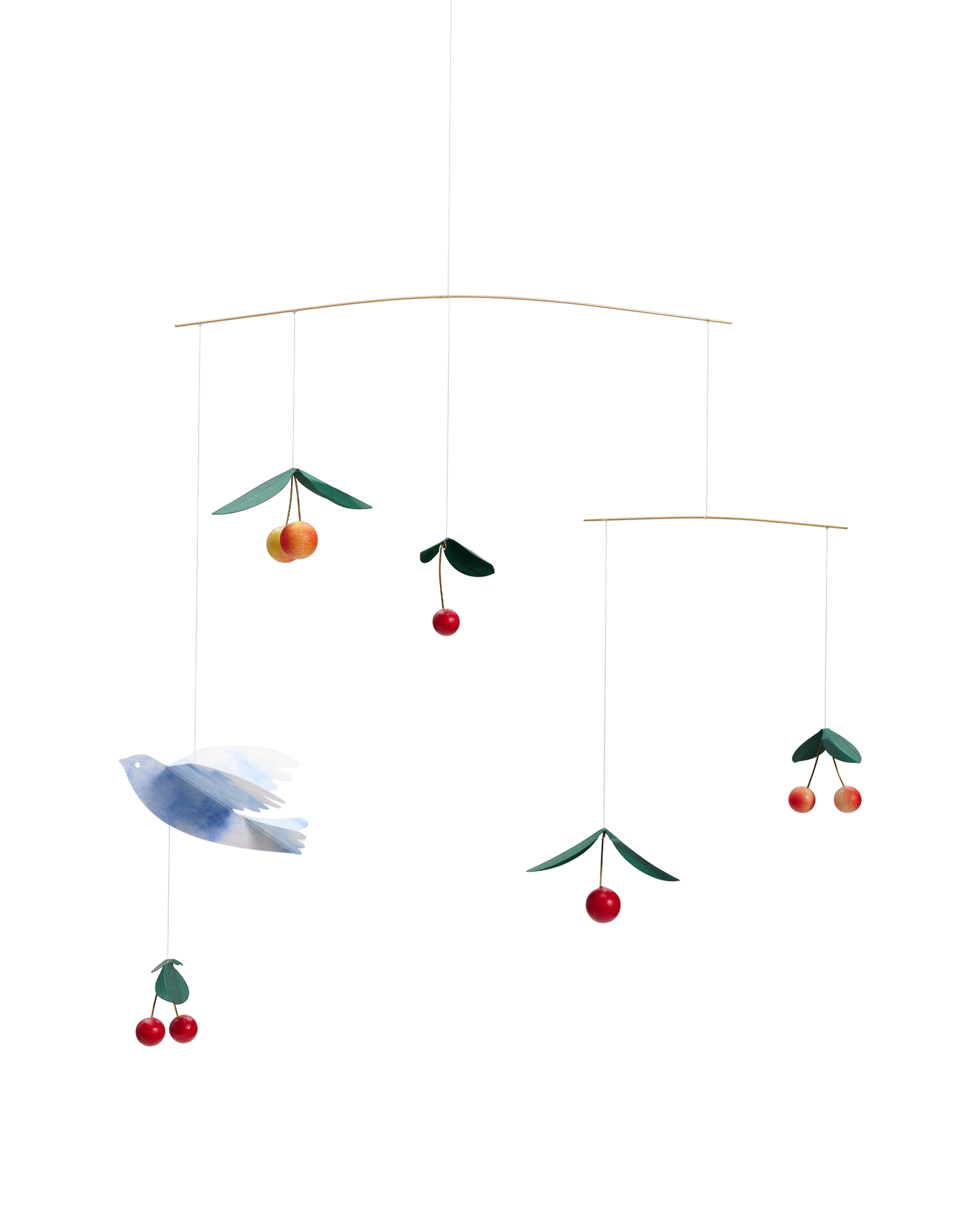 Cherry Bird
