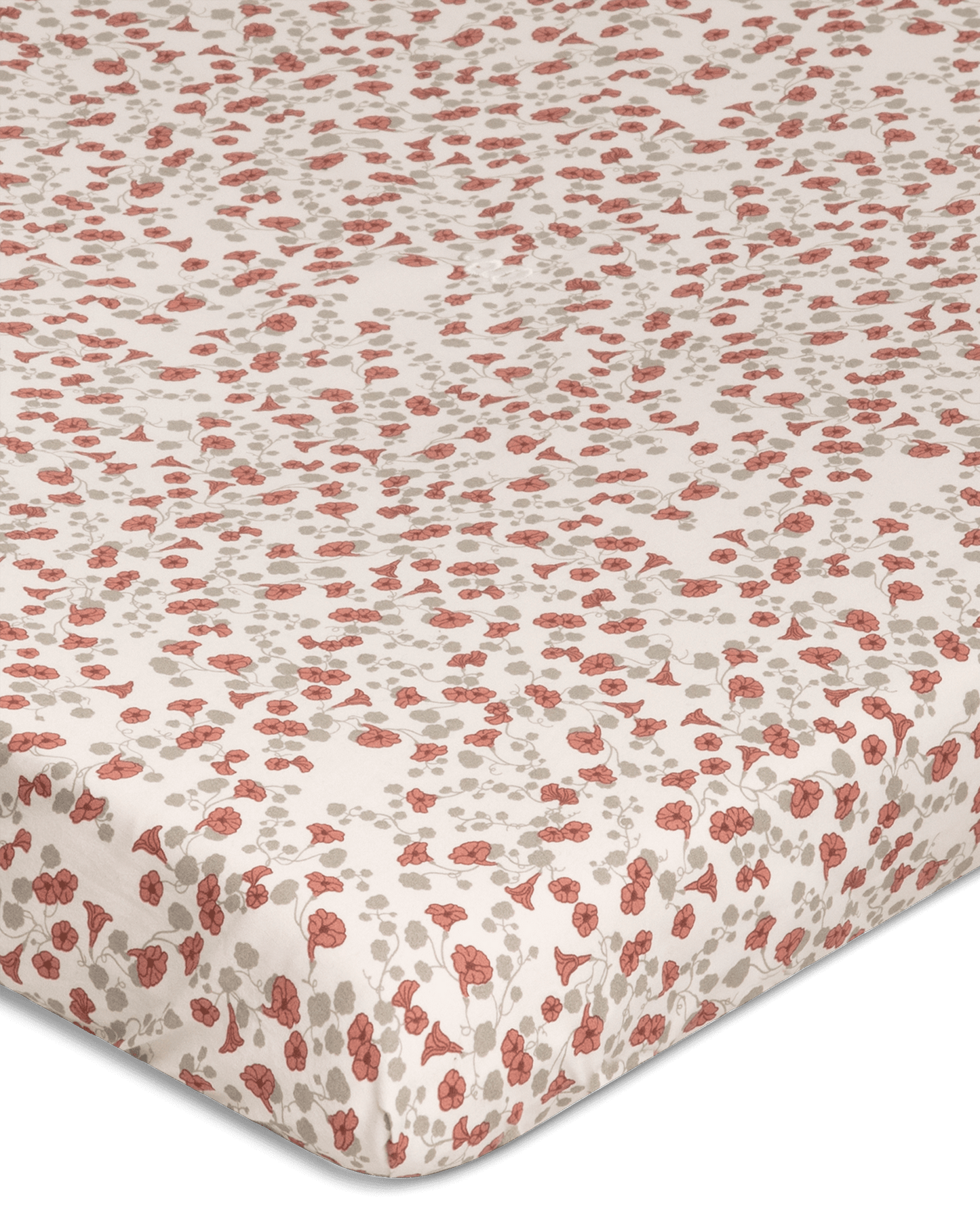 Percale Fitted Sheet Junior