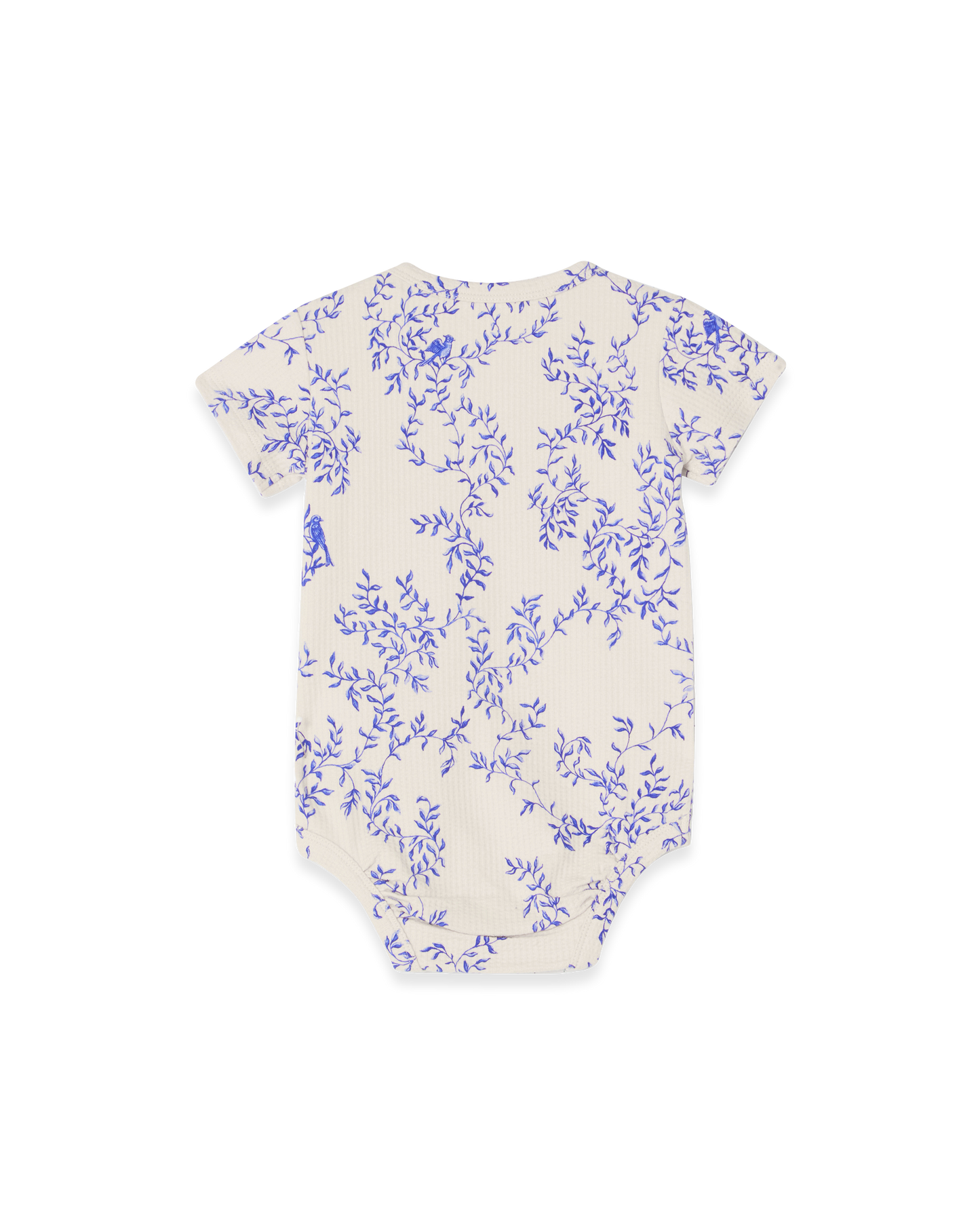 Structured Jersey Body