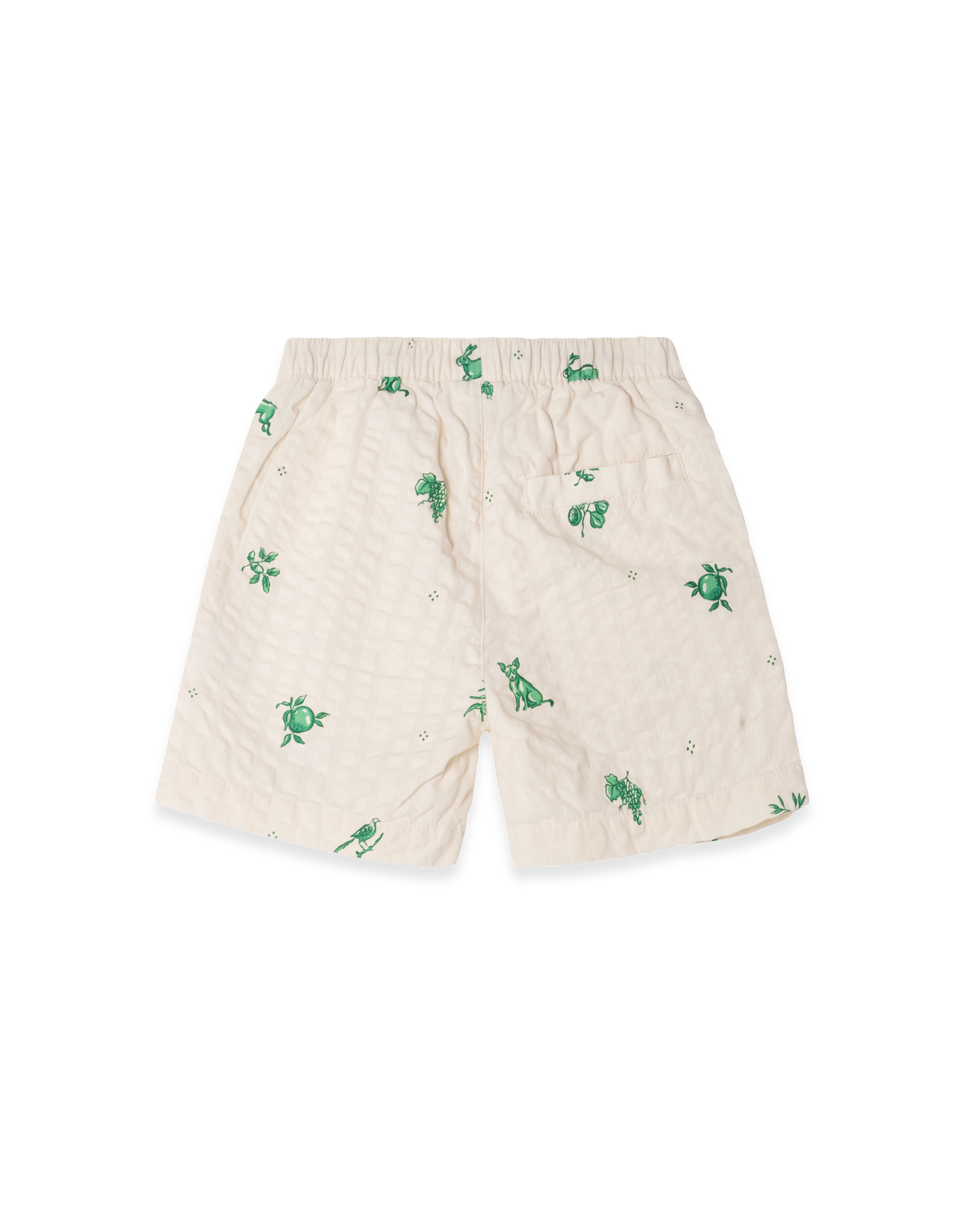 Seersucker Shorts