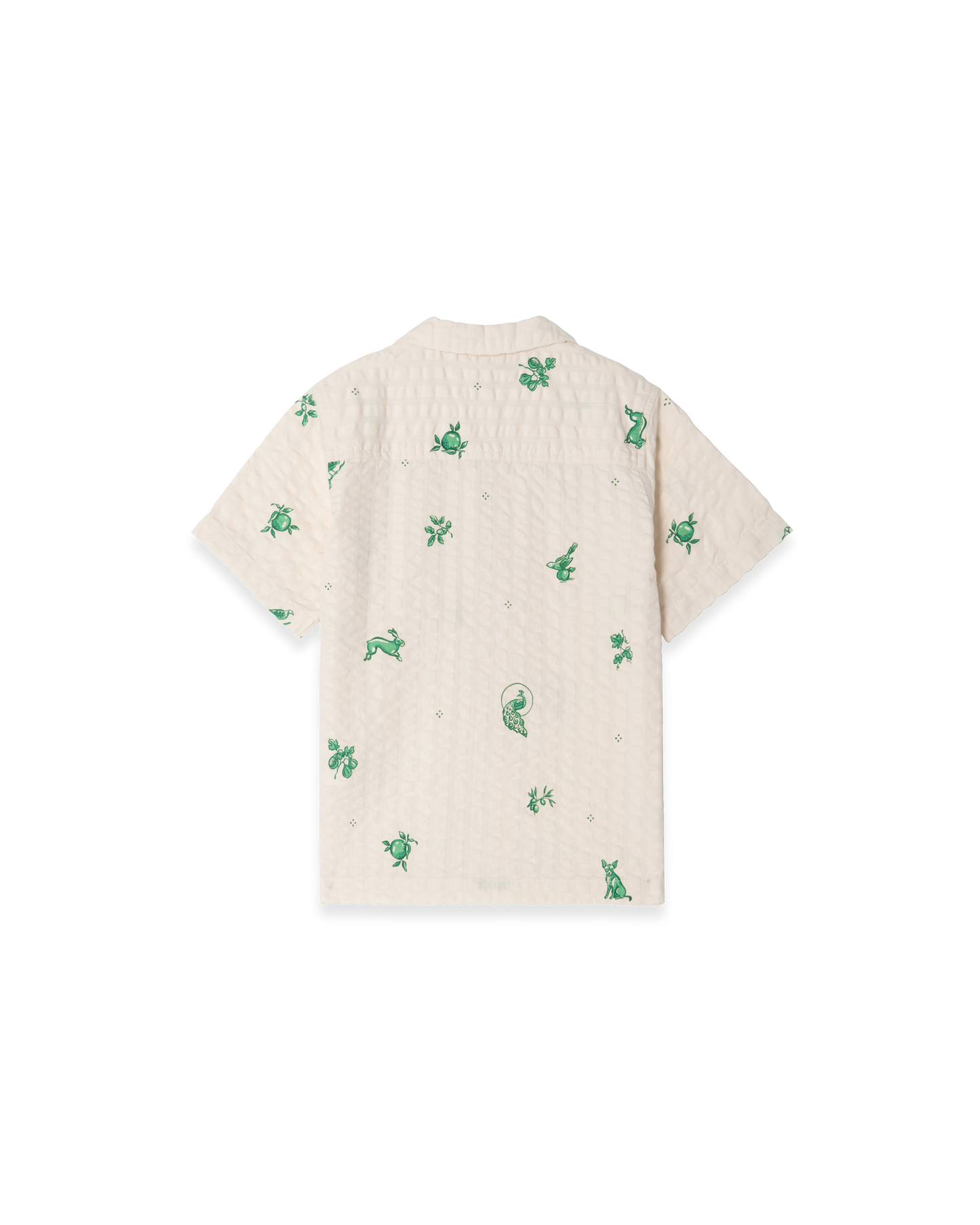 Seersucker Shirt