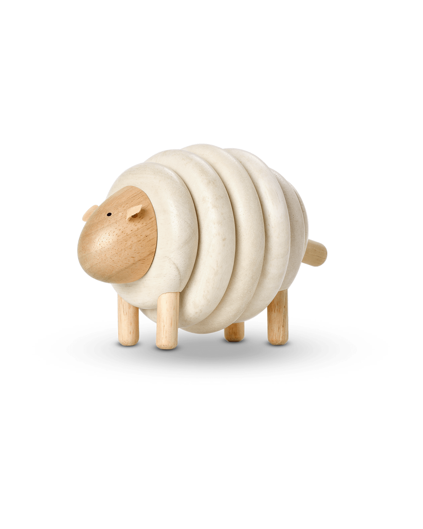 Lacing Sheep