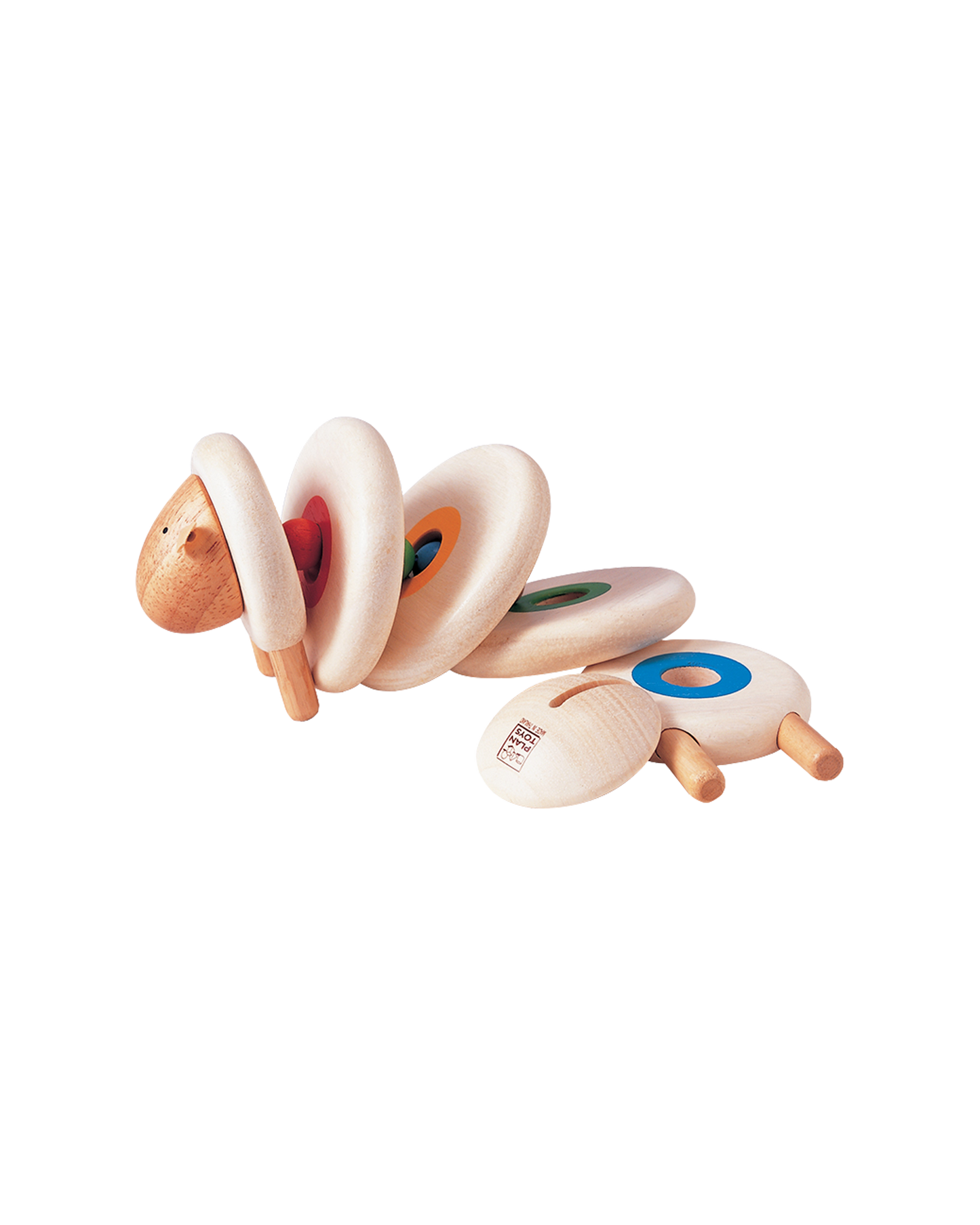 Lacing Sheep