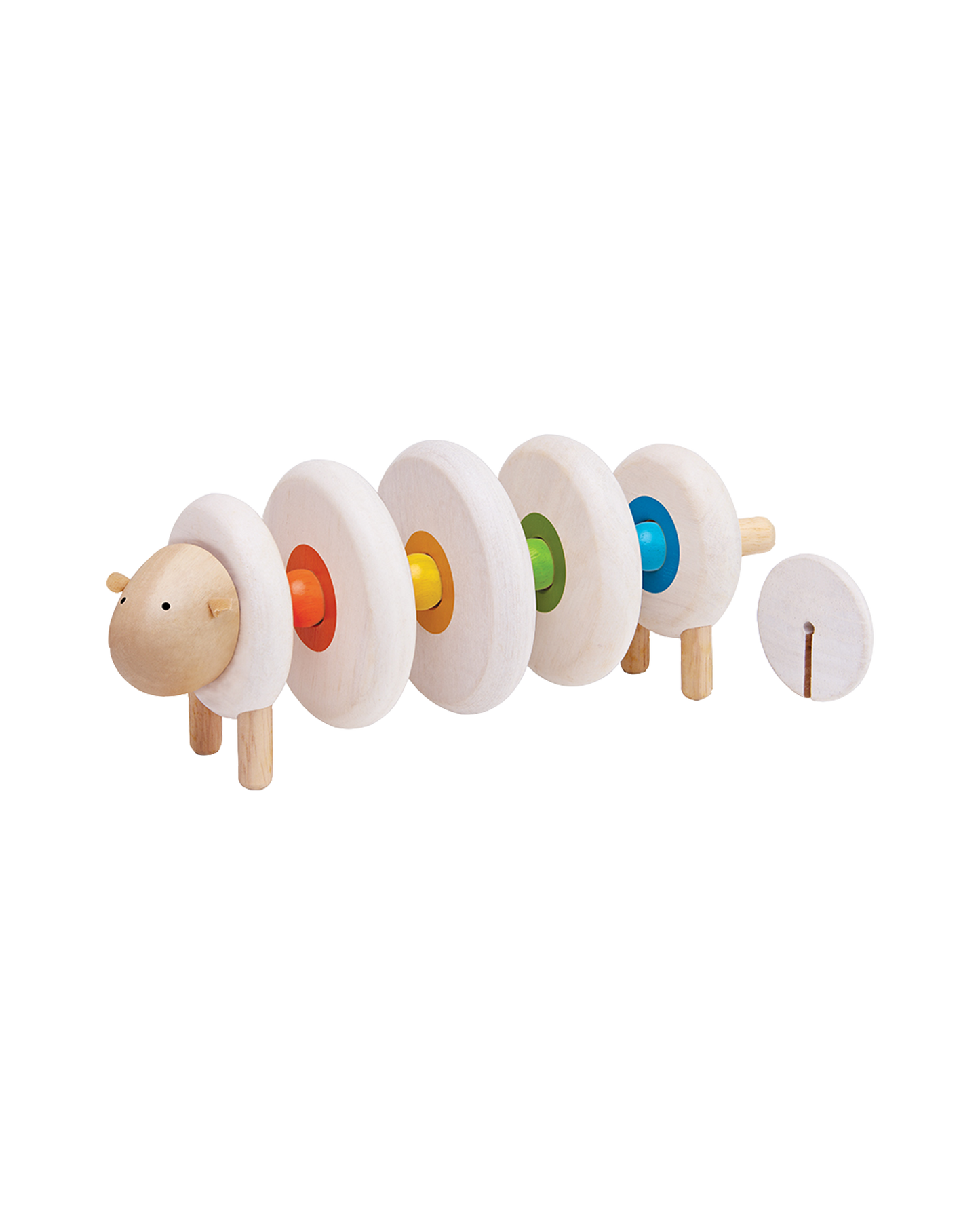 Lacing Sheep