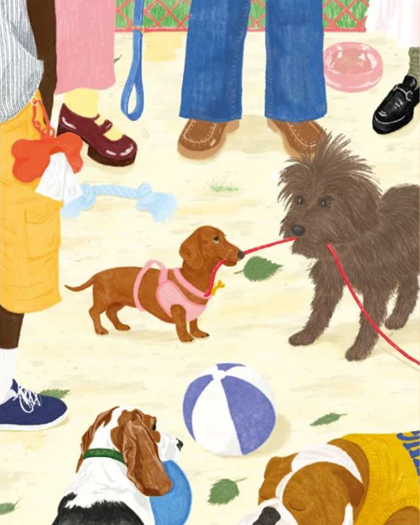 Jour Férié - Sortir le chien