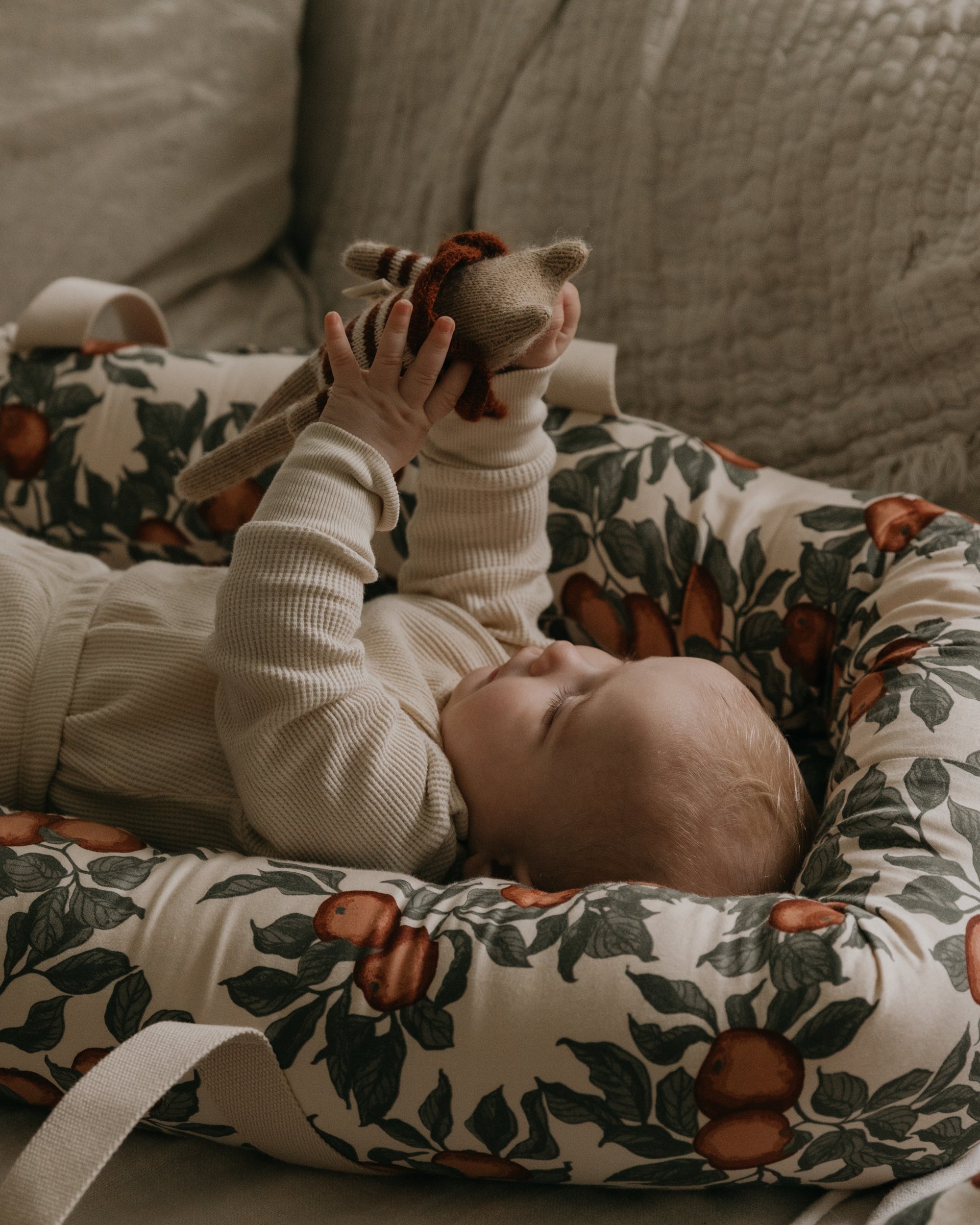 Baby Nest