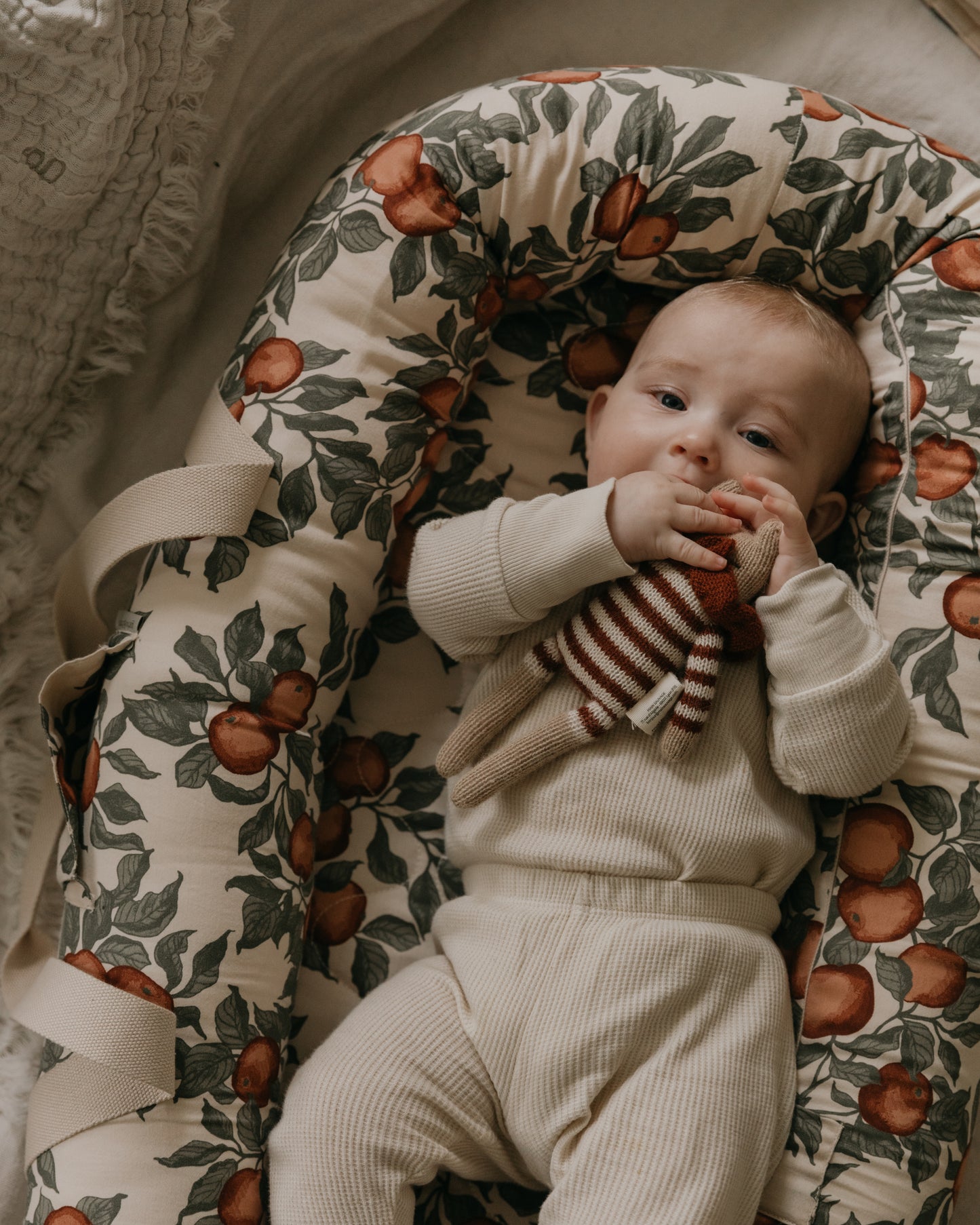 Baby Nest