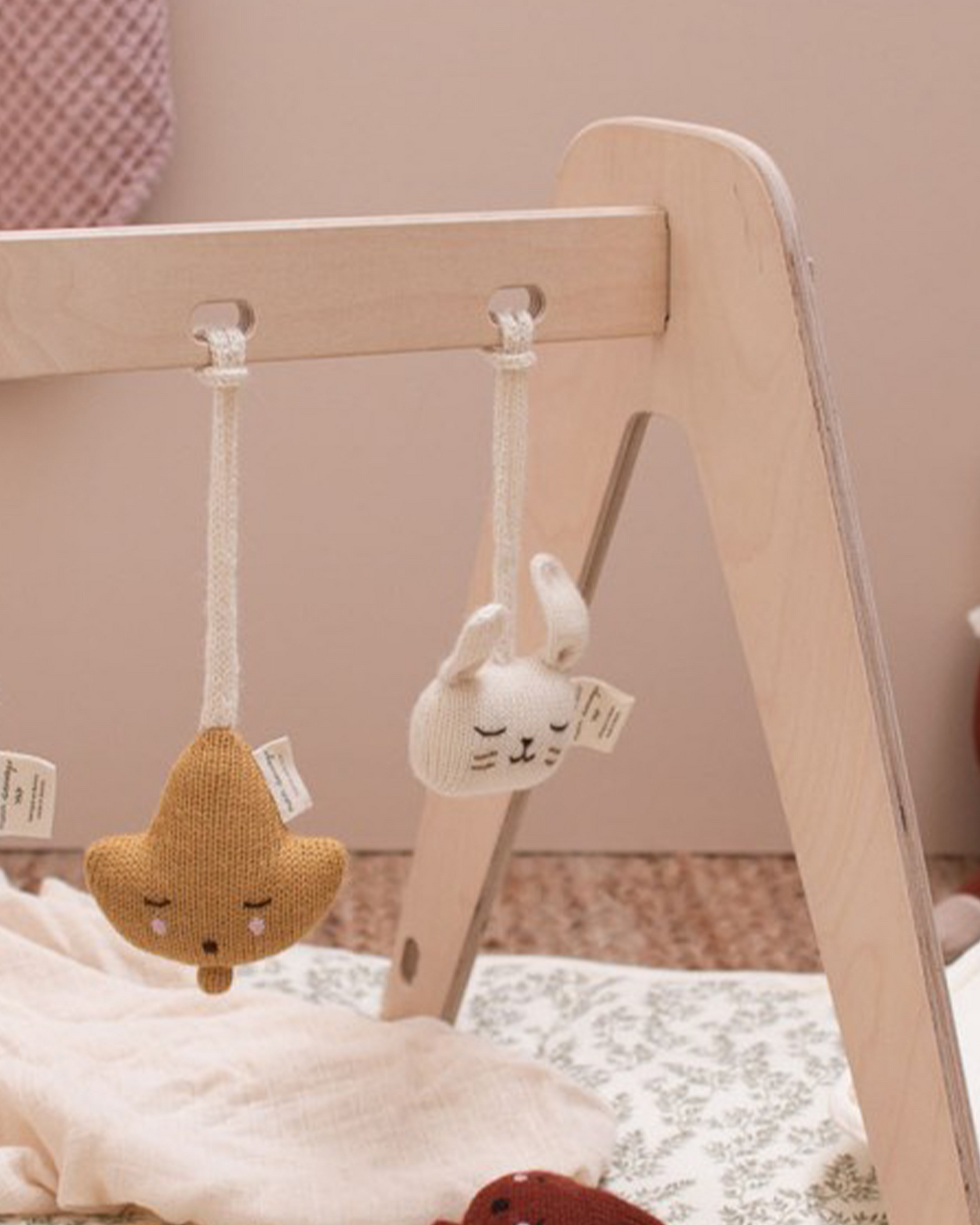 Baby Gym Toy