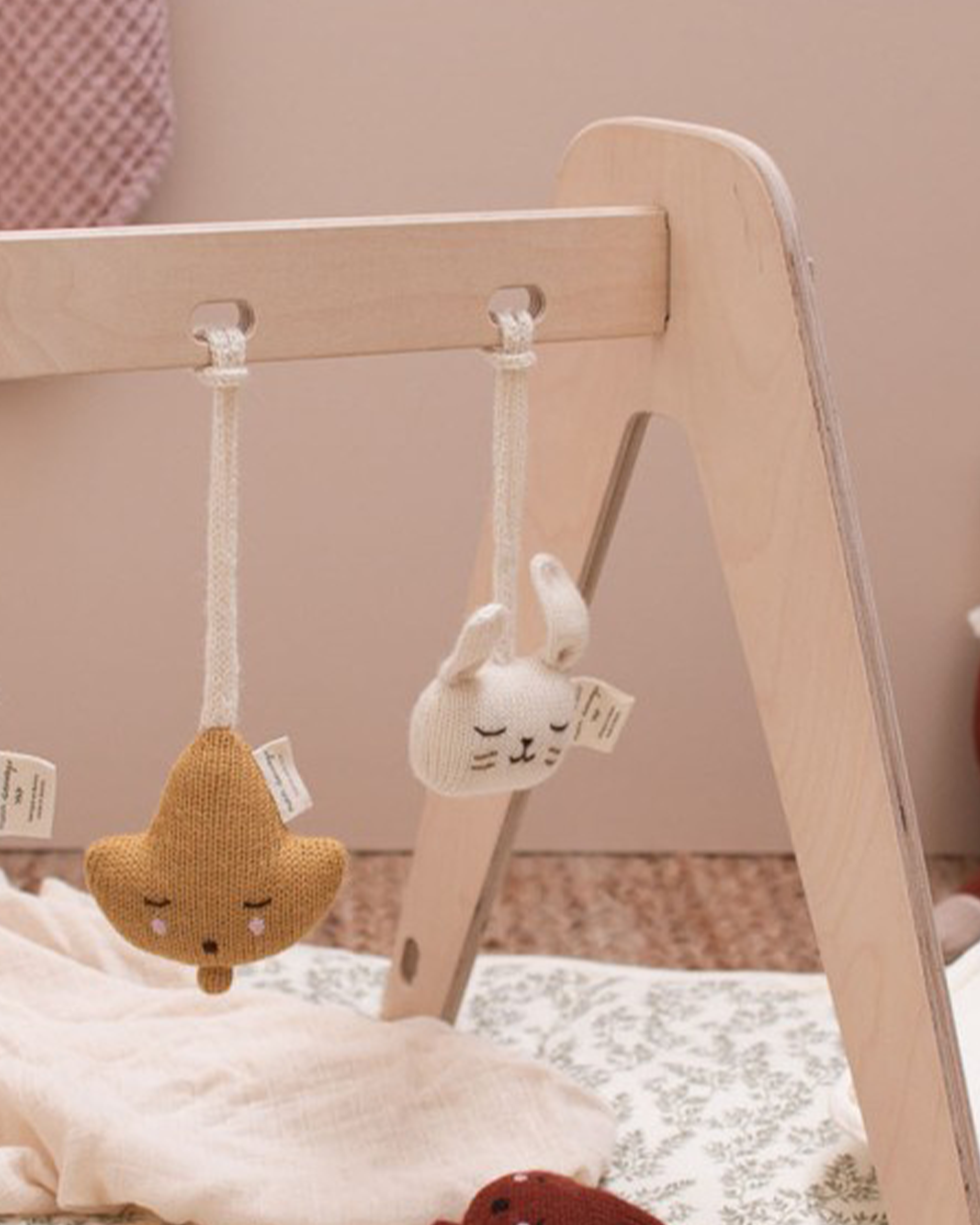 Baby Gym Toy