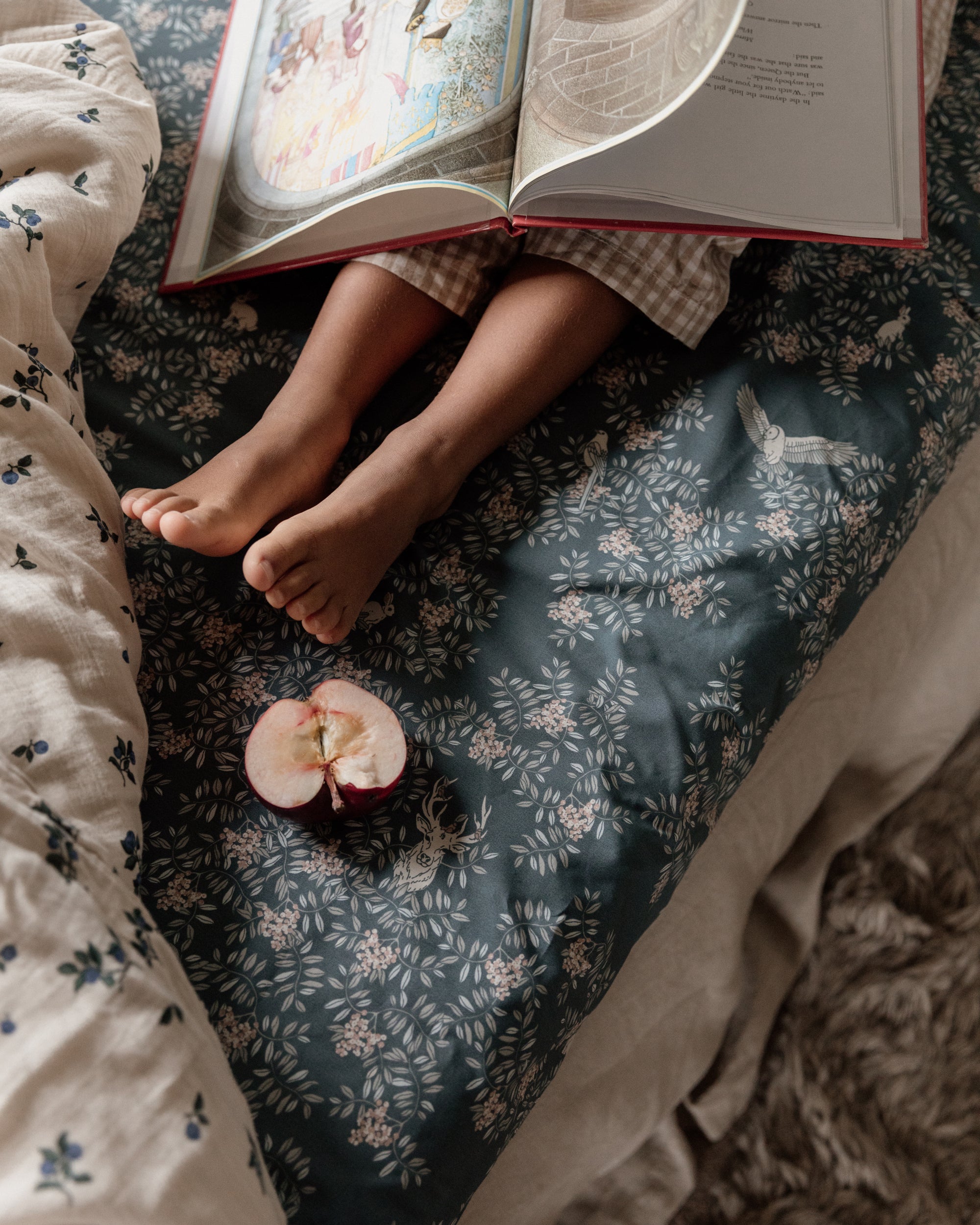  Image of Percale Fitted Sheet Junior