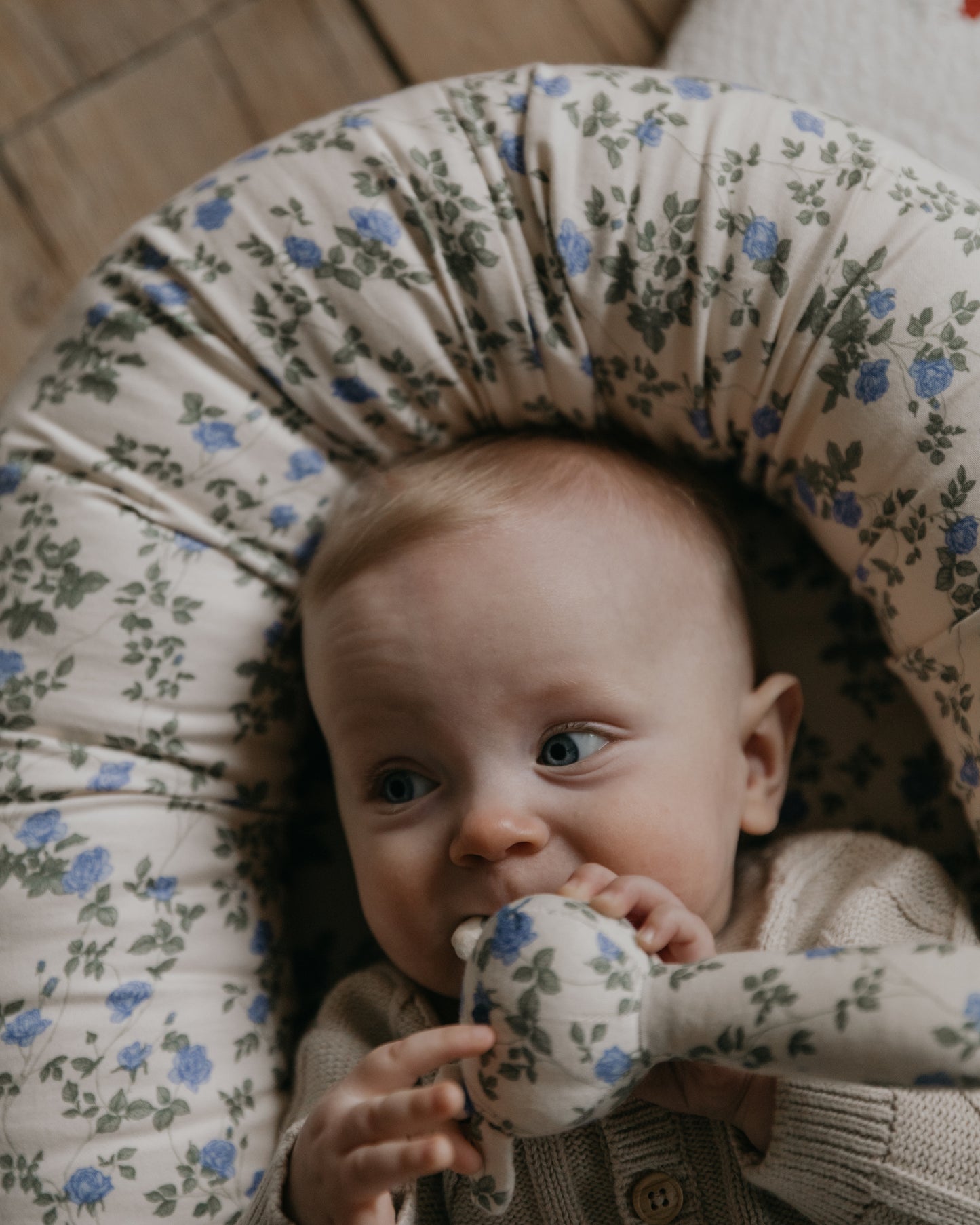 Baby Nest