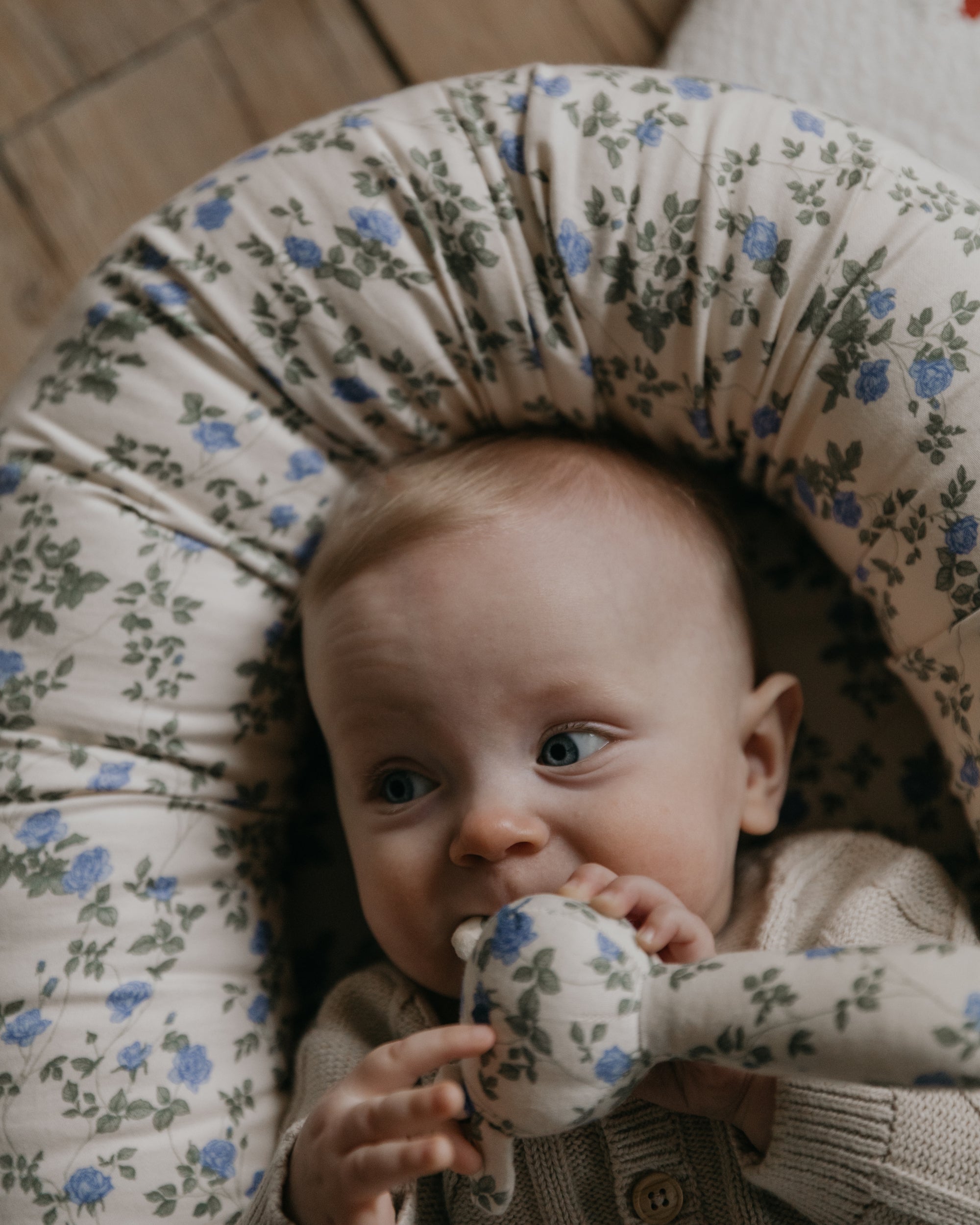Baby Nest