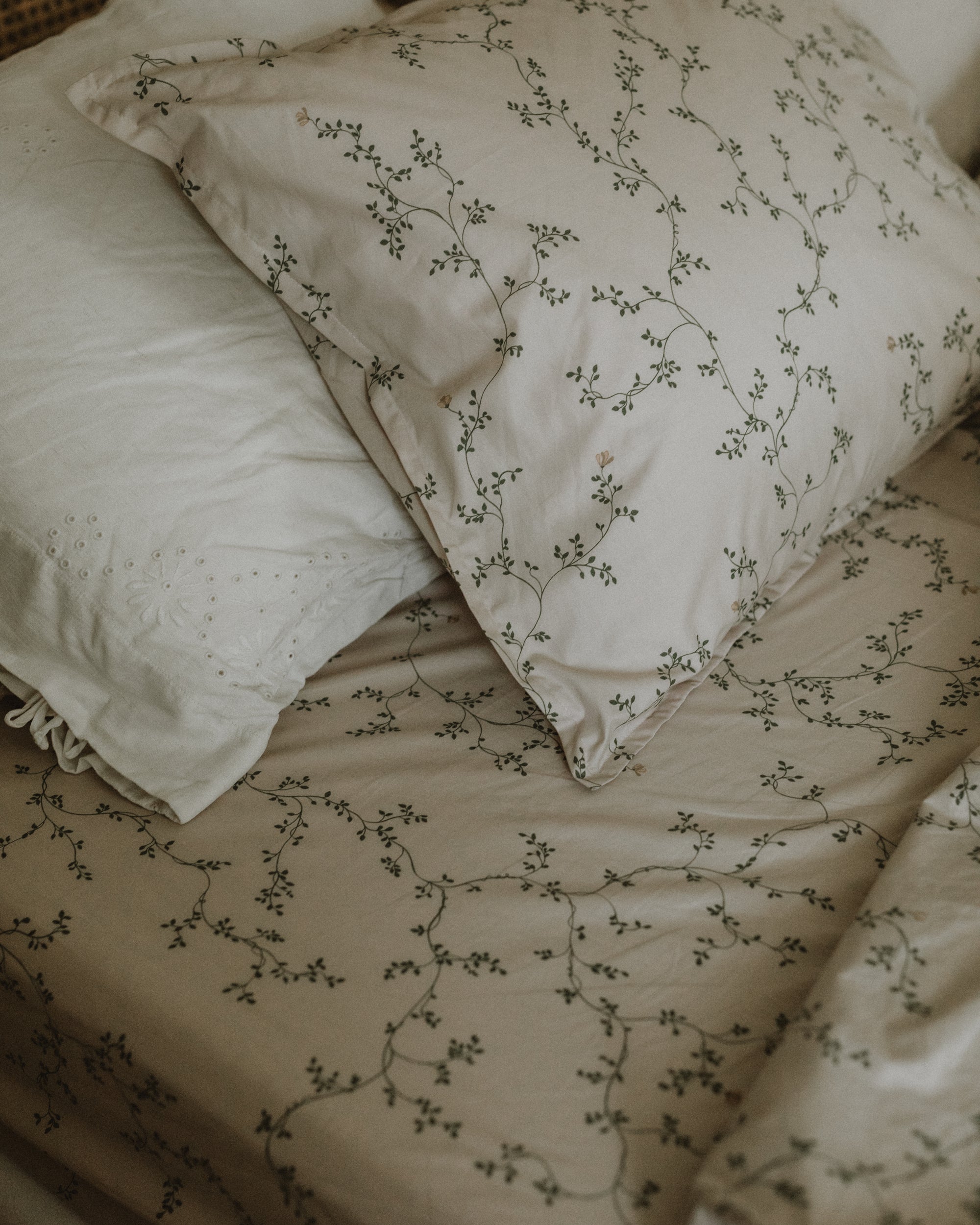  Image of Percale Fitted Sheet Single