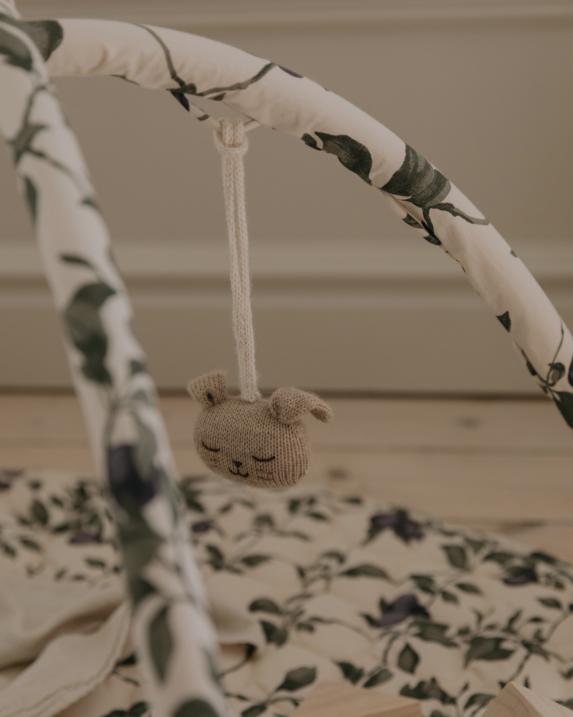  Image of Baby Gym Toy