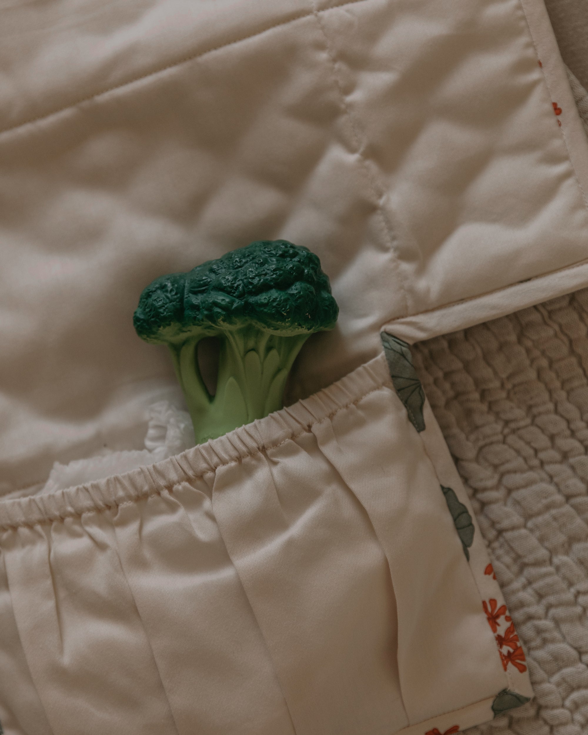  Image of Brucy the Broccoli