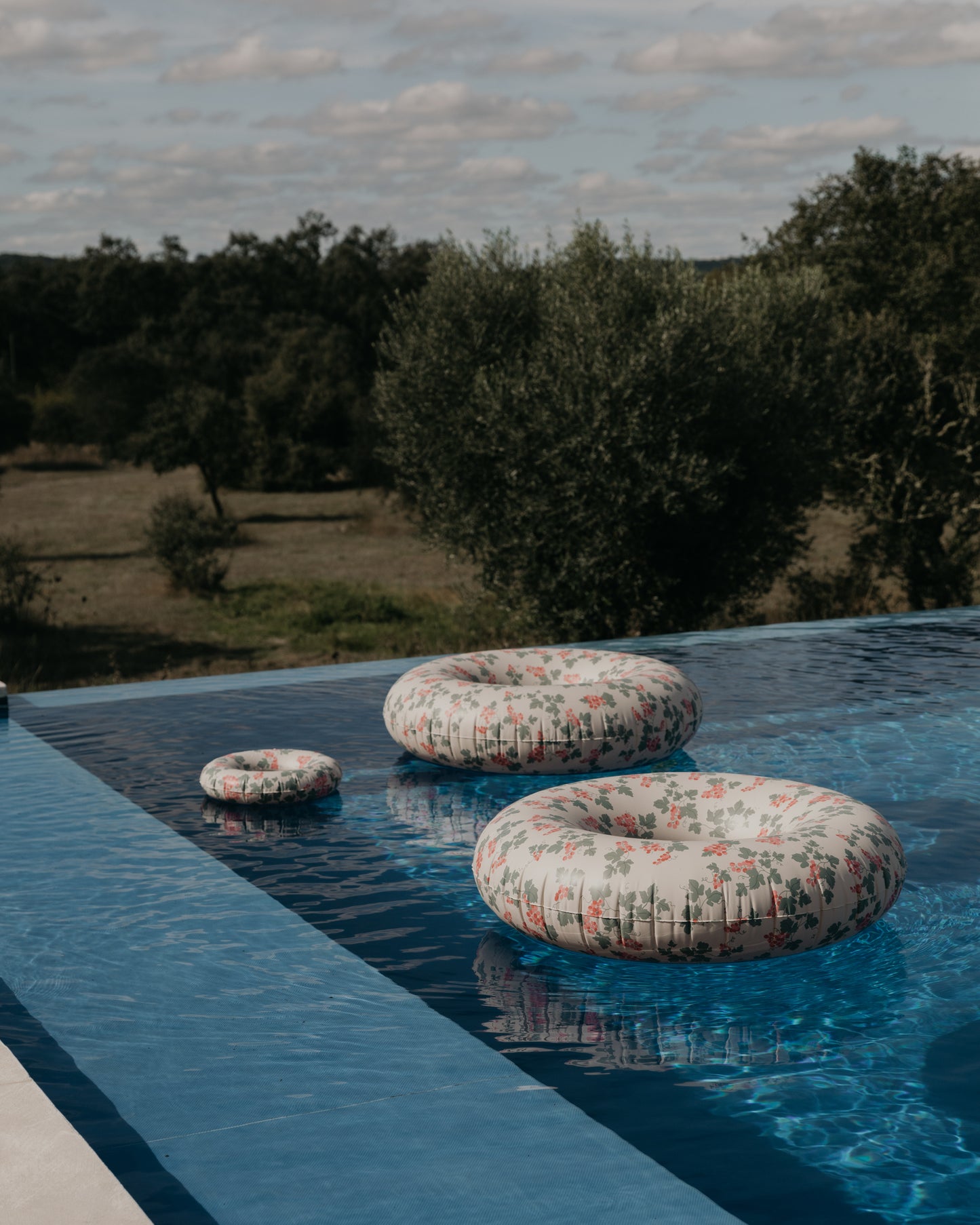 Swim Ring Small