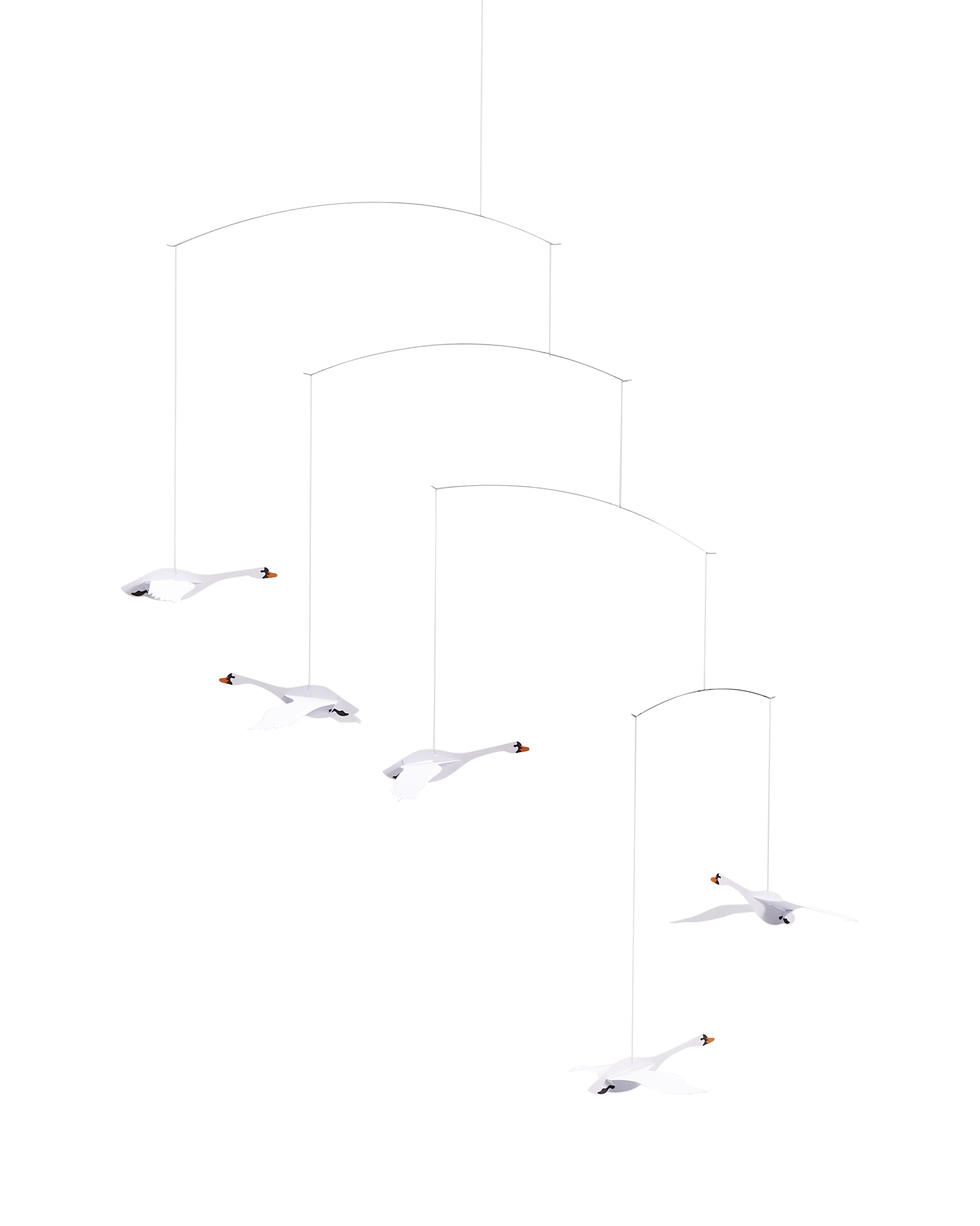  Image of Scandinavian Swans