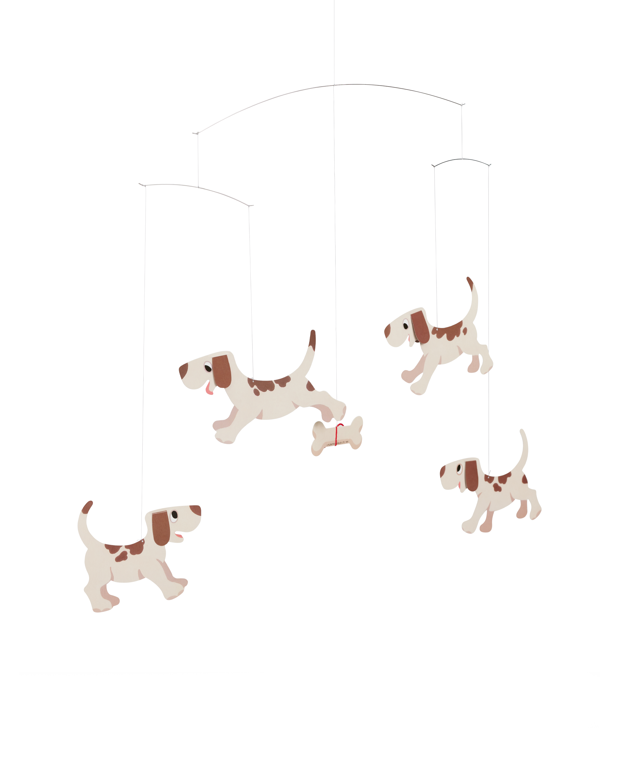  Image of Doggy Dreams