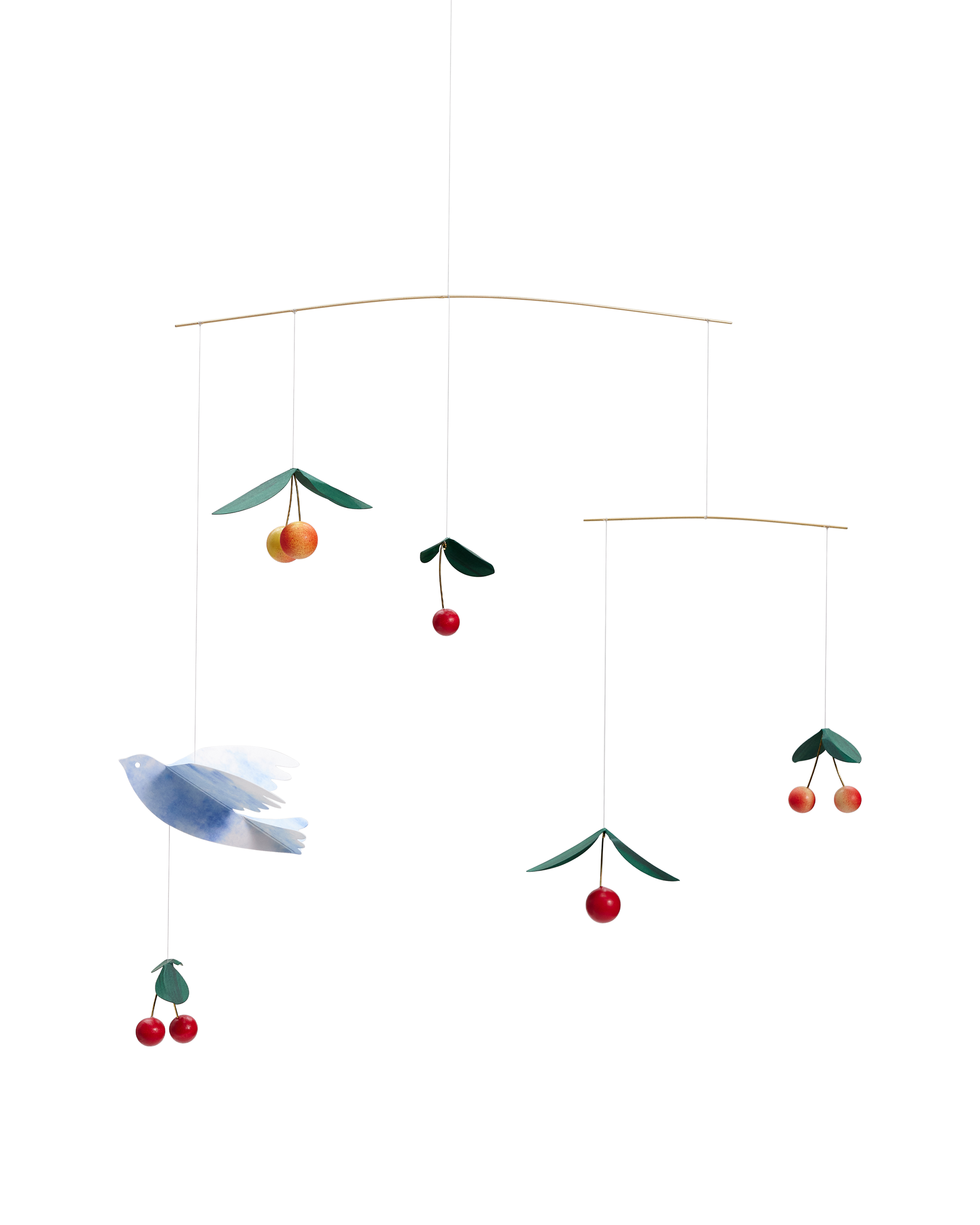 Image of Cherry Bird