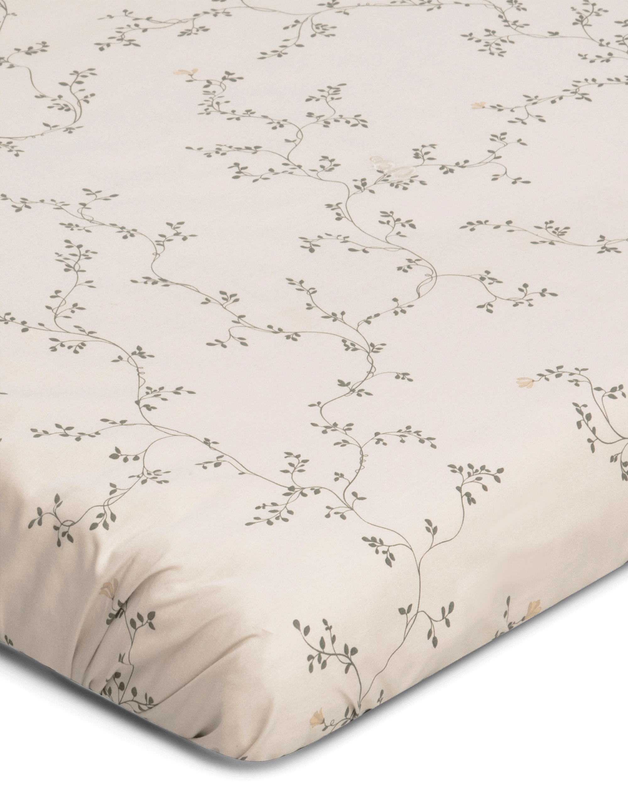  Image of Percale Fitted Sheet Double