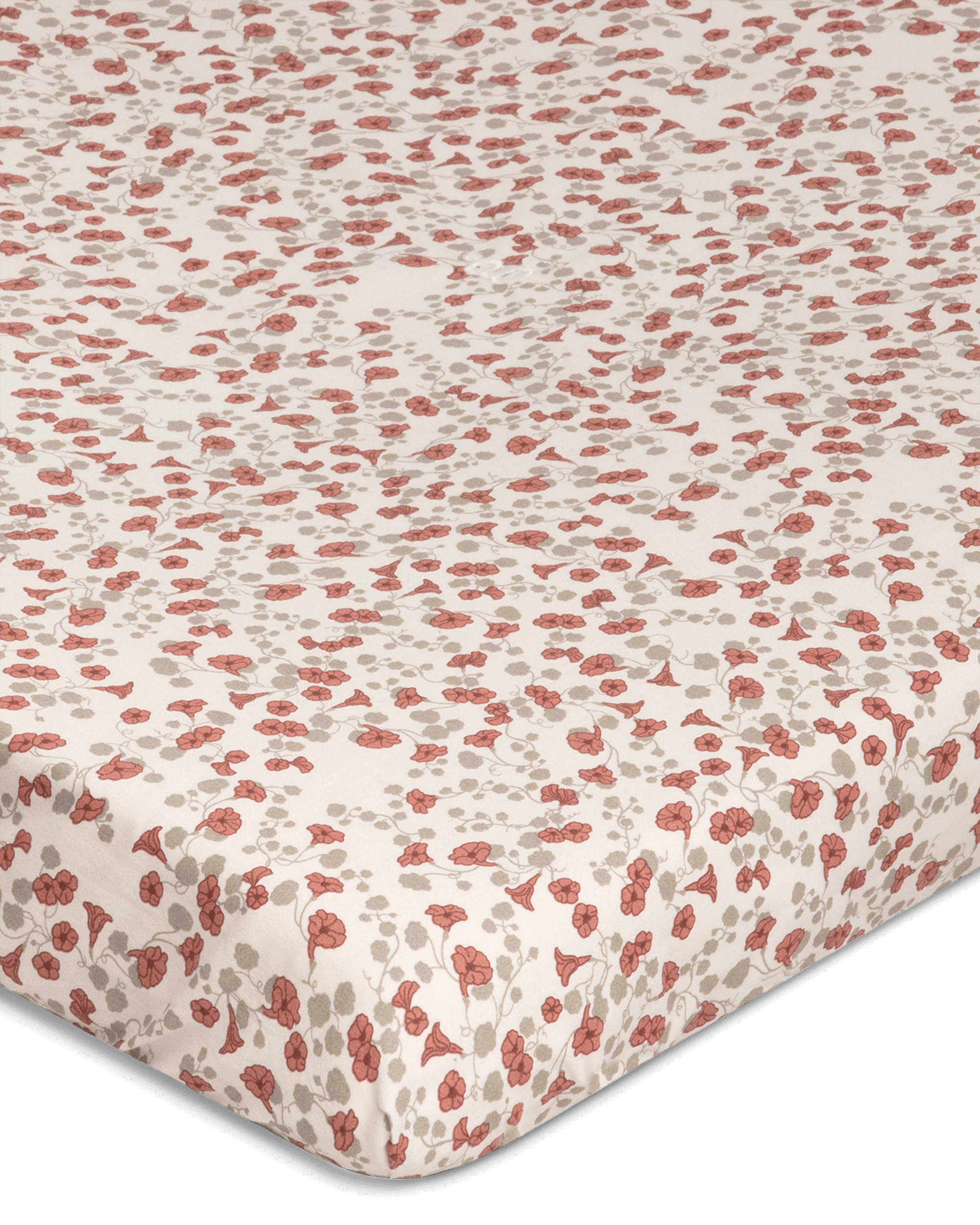  Image of Percale Fitted Sheet Junior