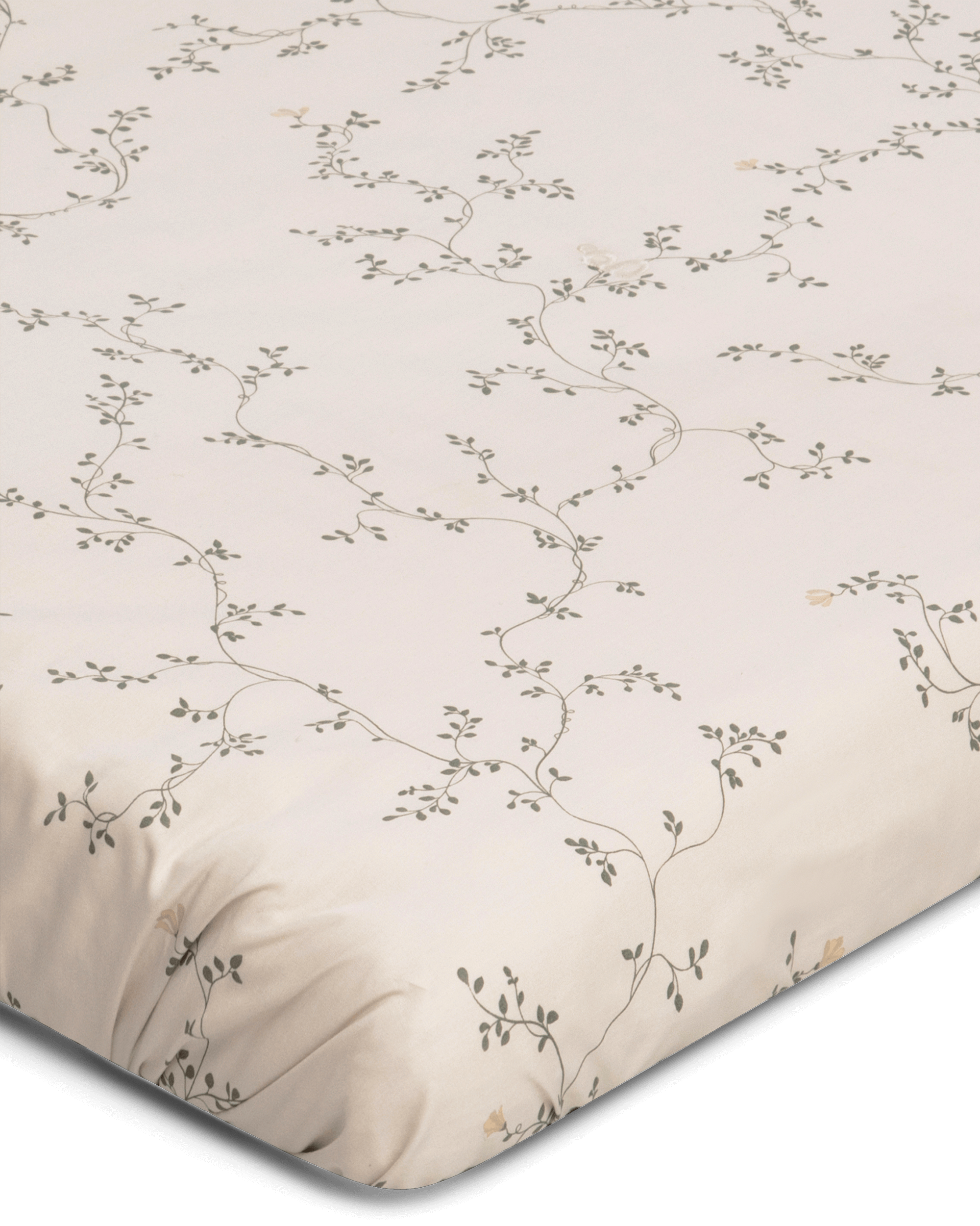  Image of Percale Fitted Sheet Junior