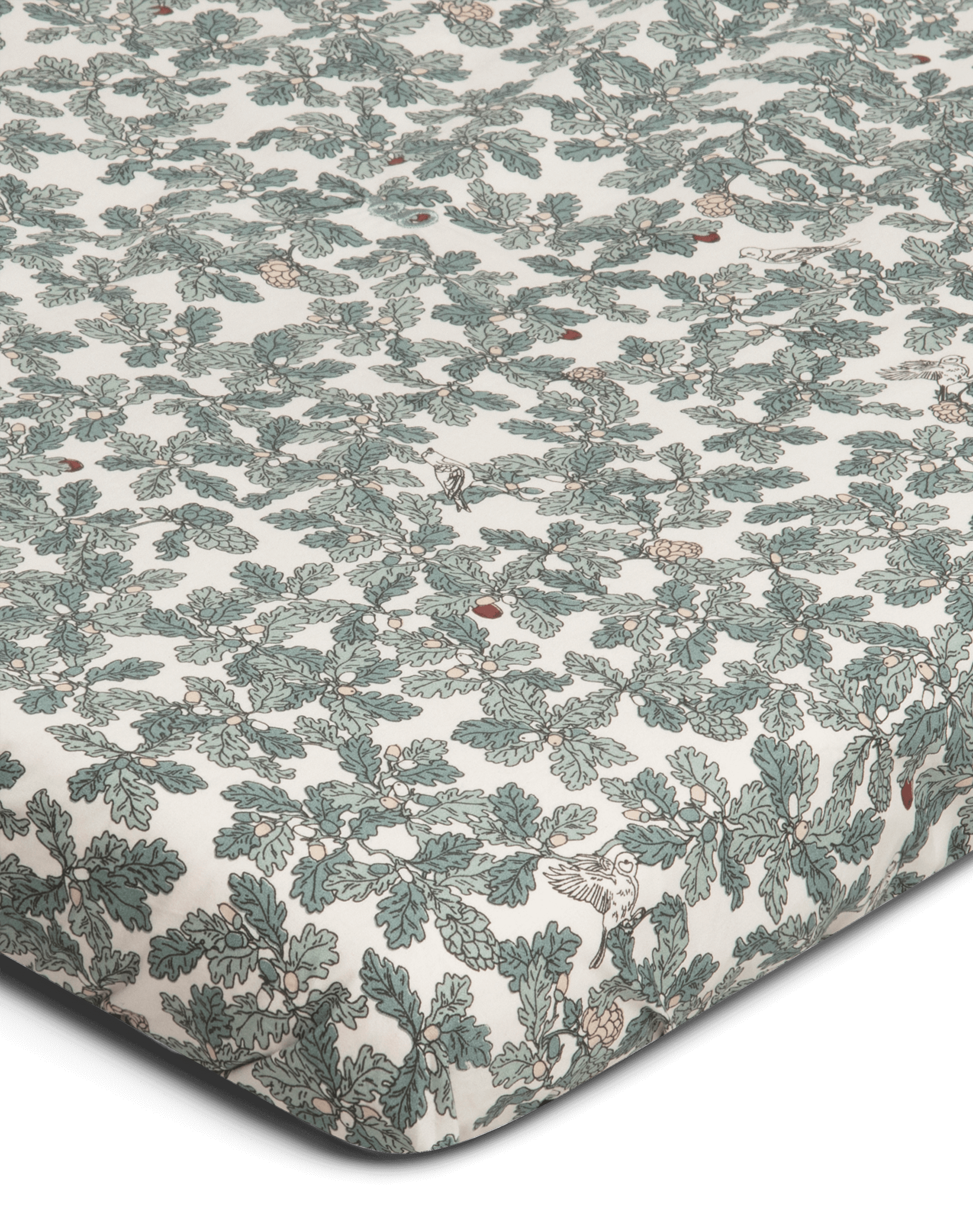  Image of Percale Fitted Sheet Junior