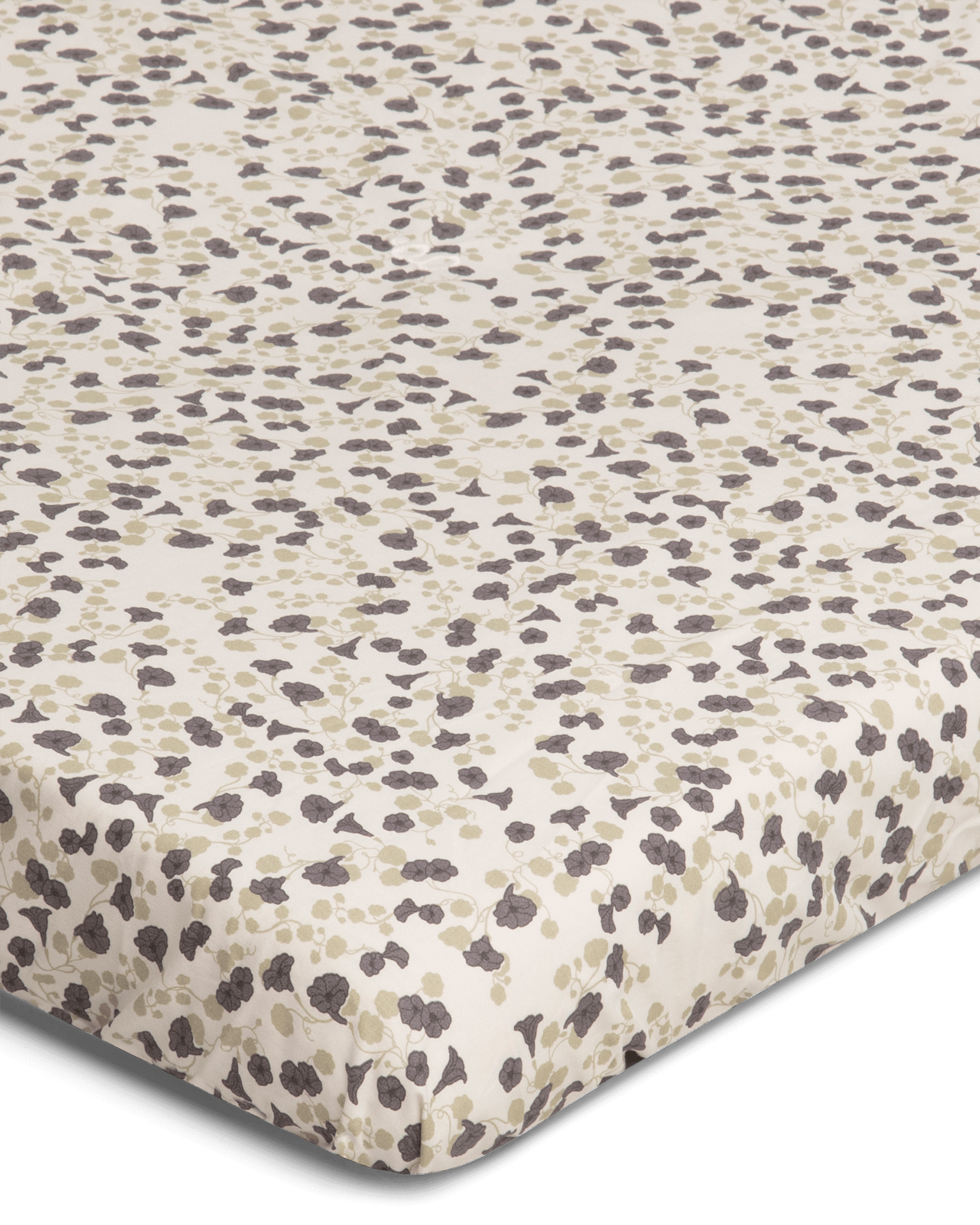  Image of Percale Fitted Sheet Junior