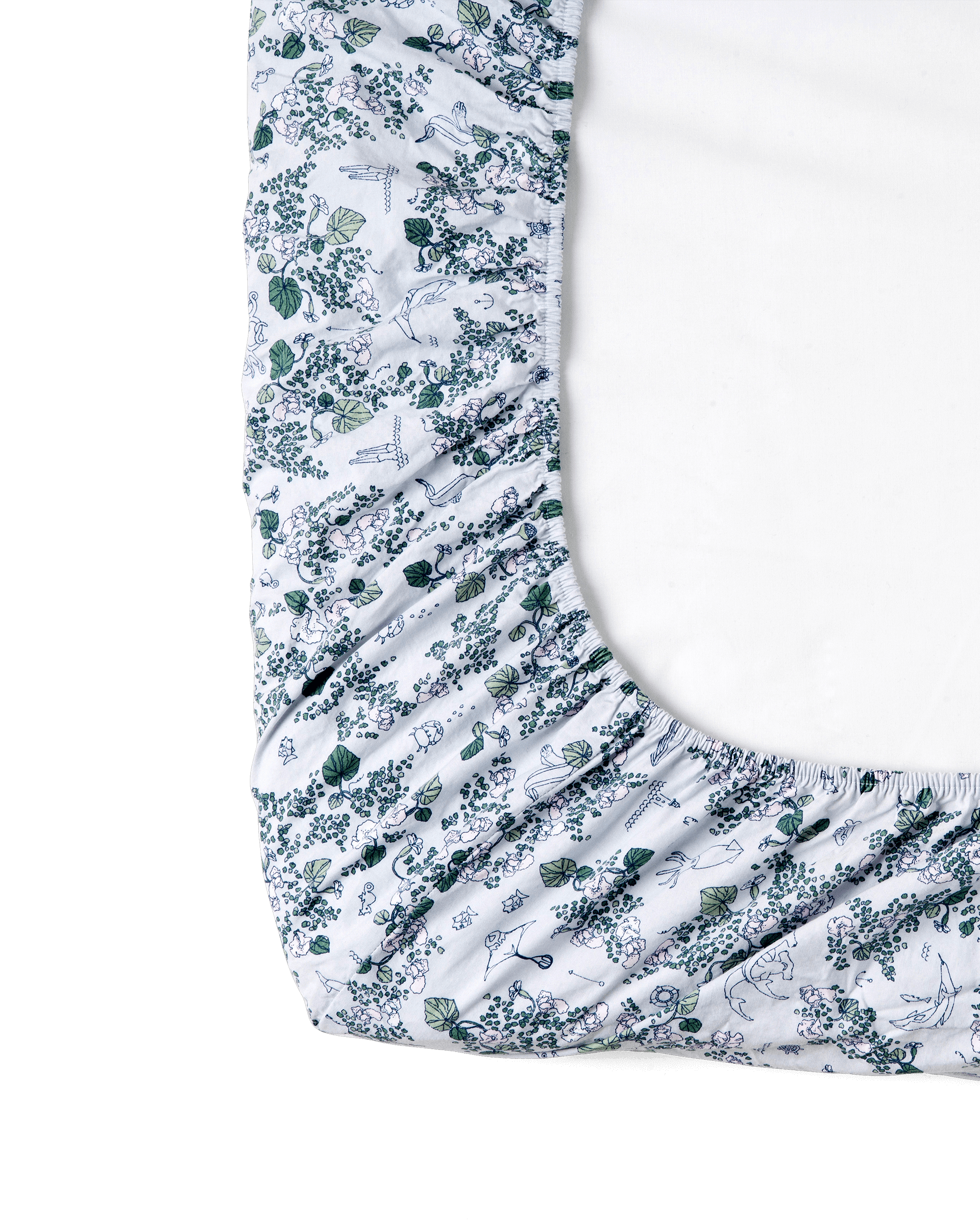  Image of Percale Fitted Sheet Junior