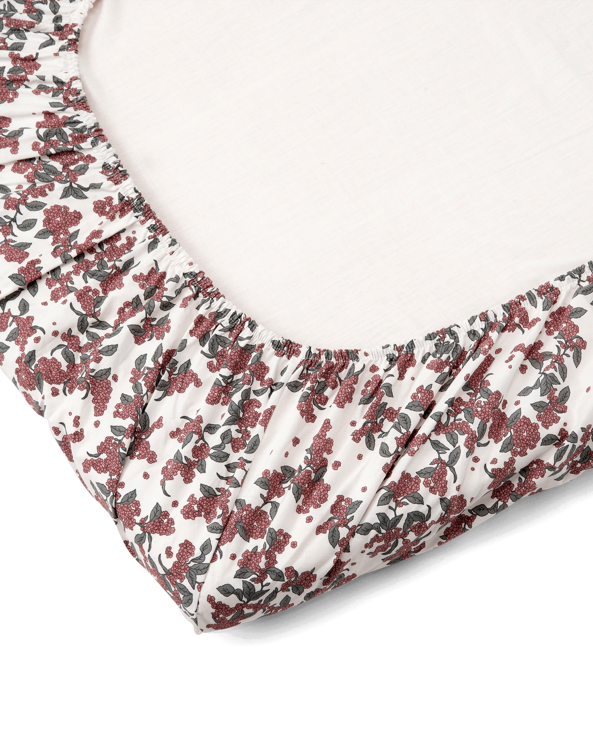  Image of Percale Fitted Sheet Junior