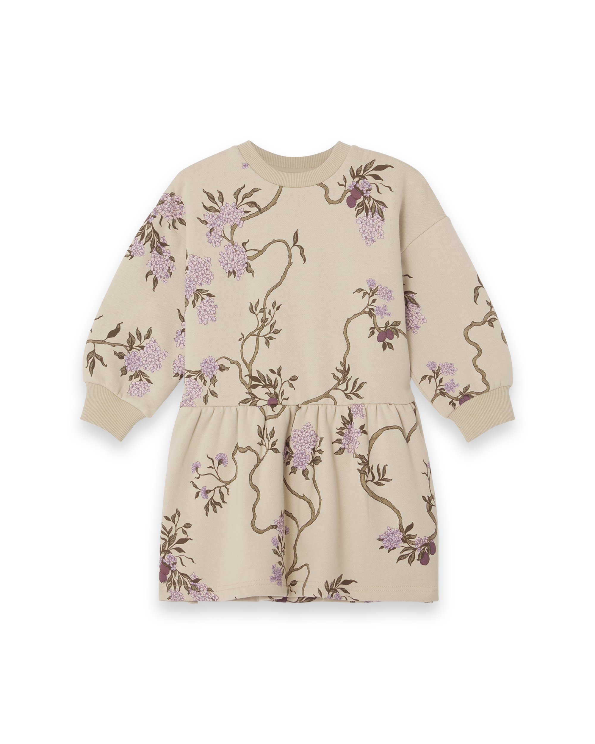  Image of Sweatshirt Dress