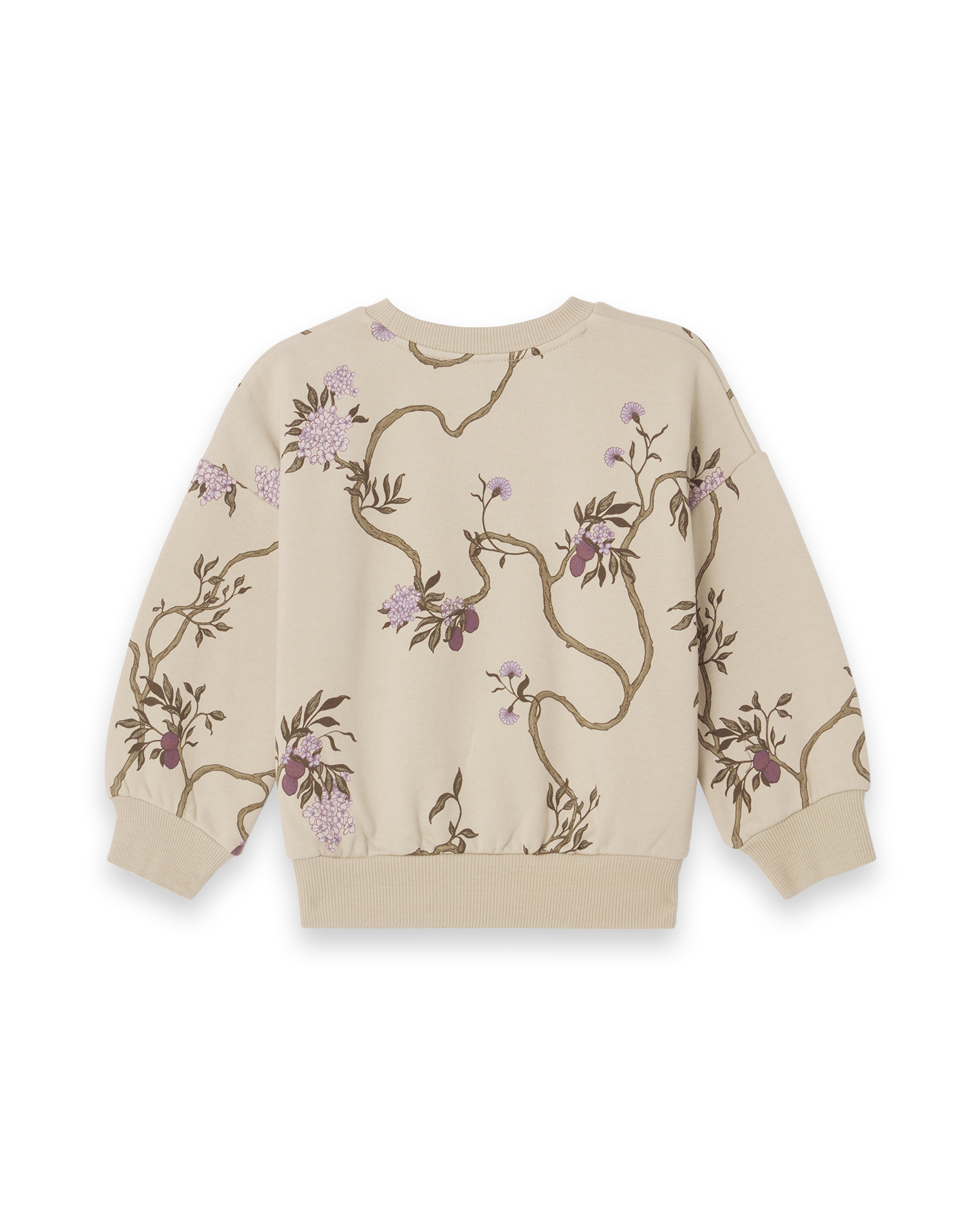  Image of Sweatshirt