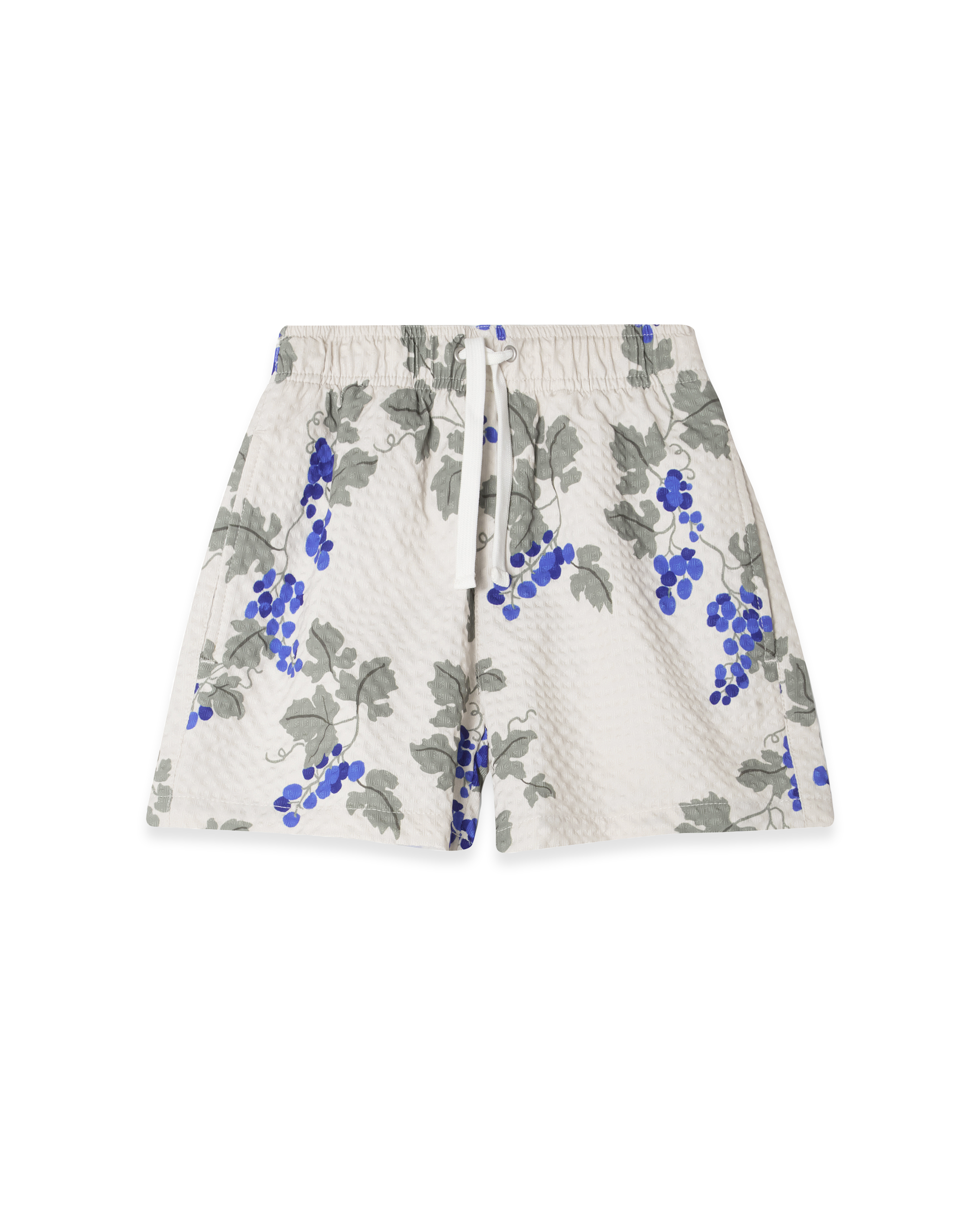  Image of Swim Shorts