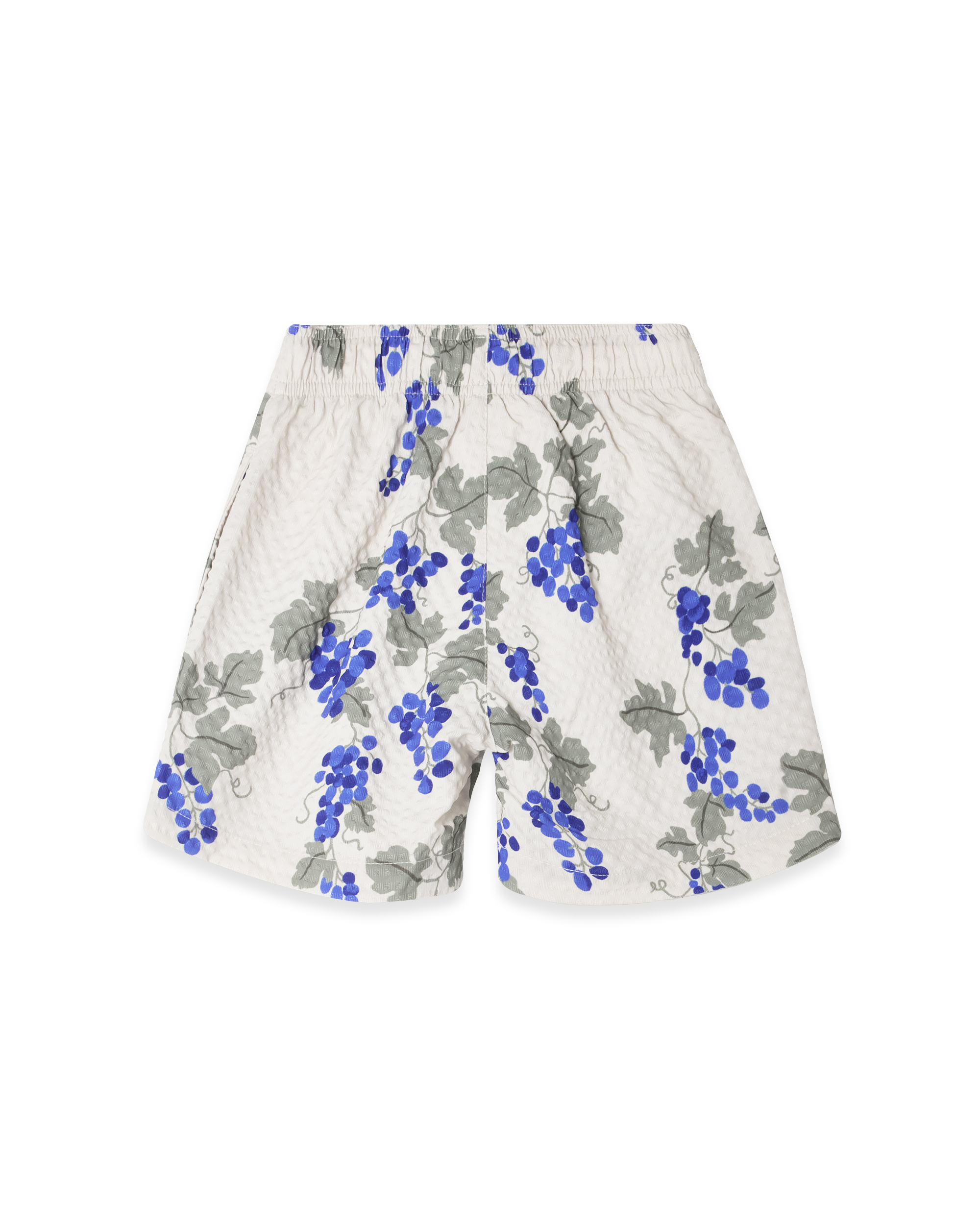  Image of Swim Shorts