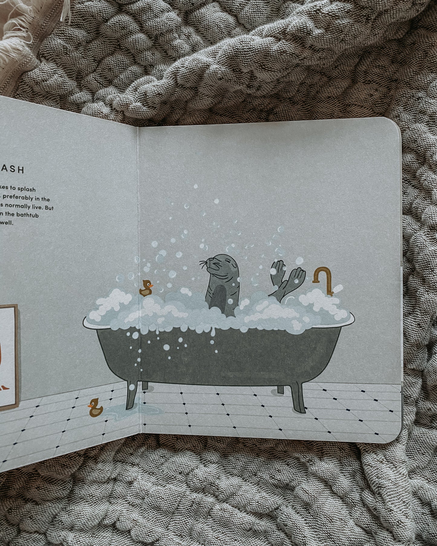 Picture Book Animals at home