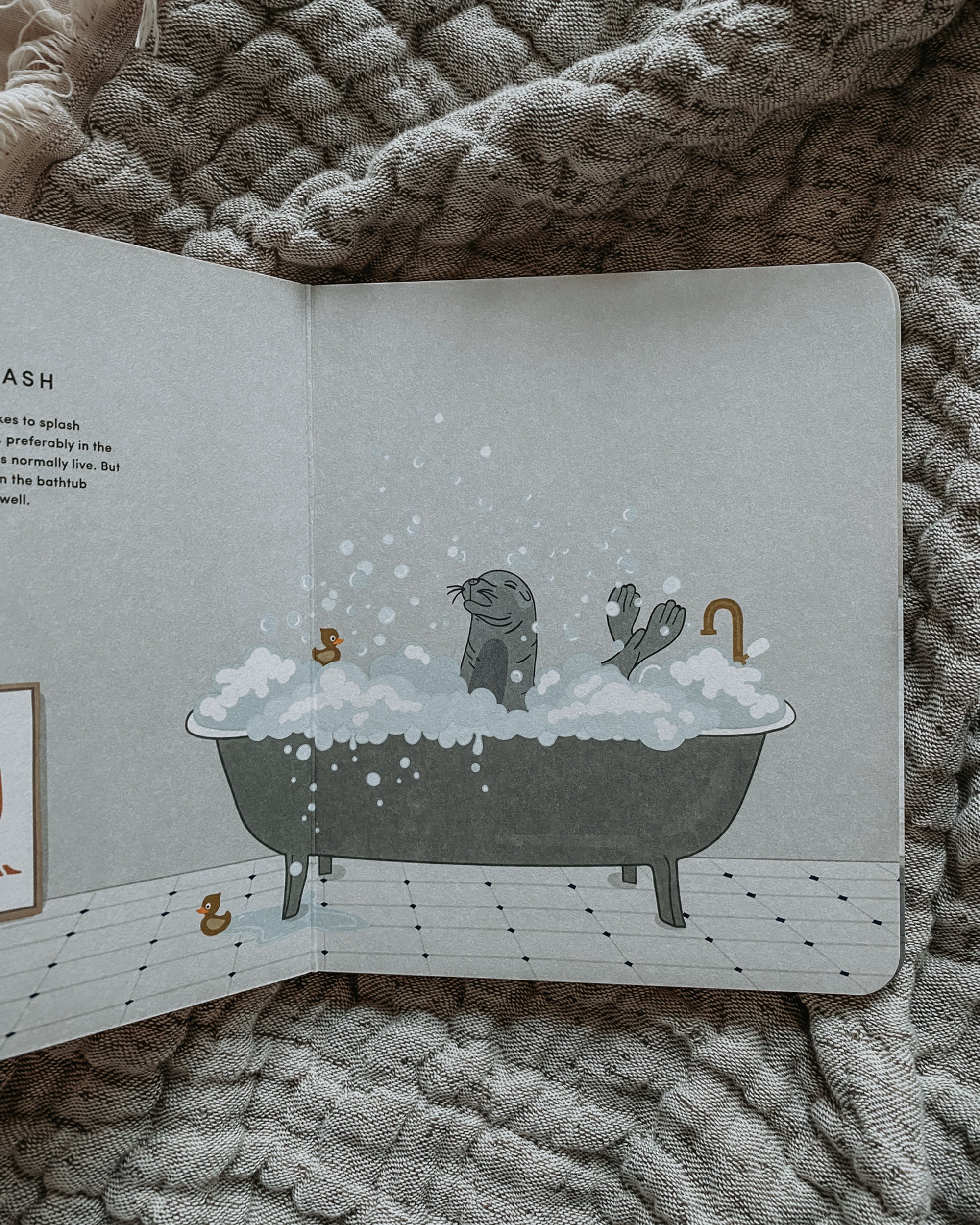 Picture Book Animals at home