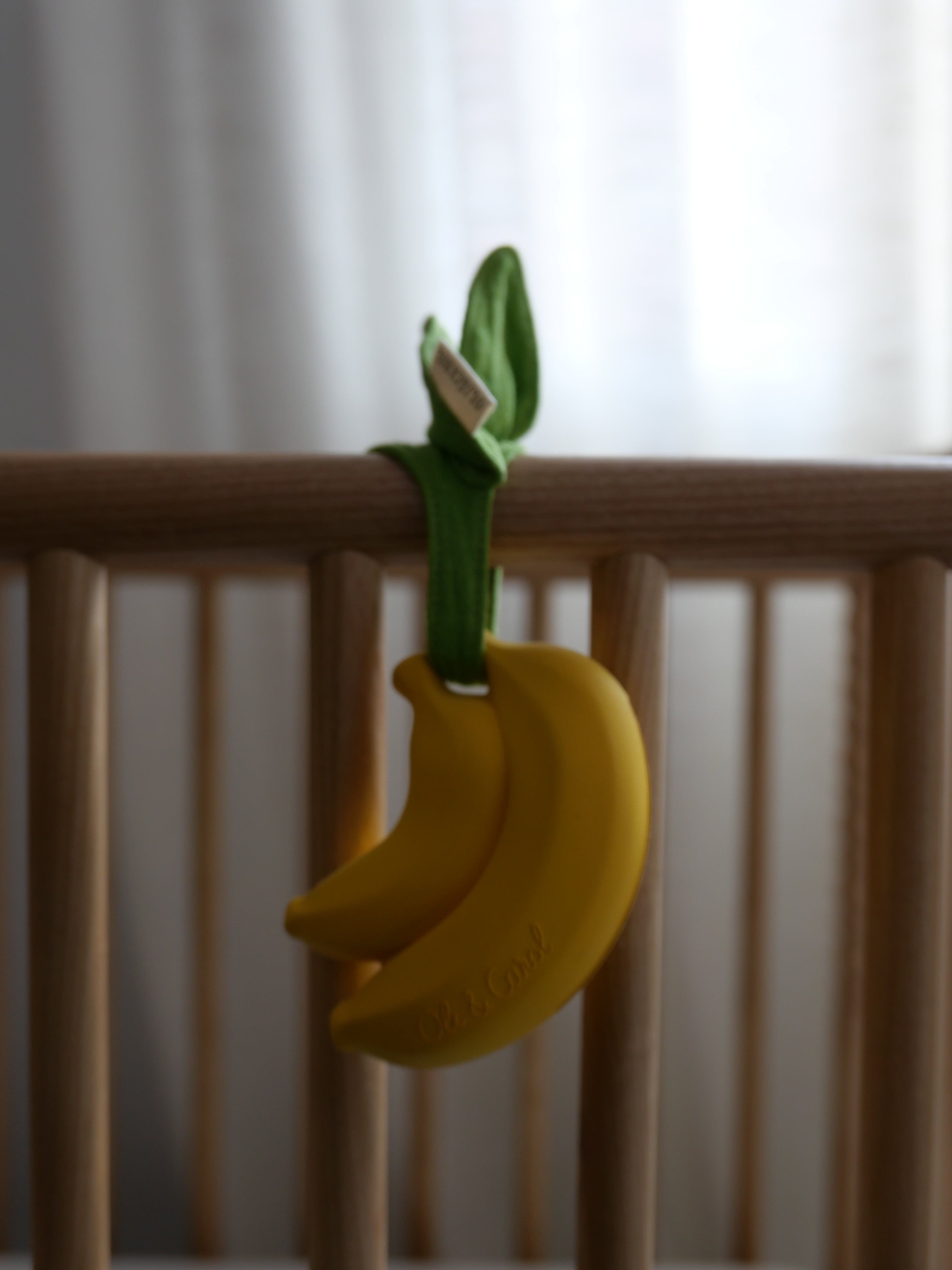 Ana Banana Pacifier Case