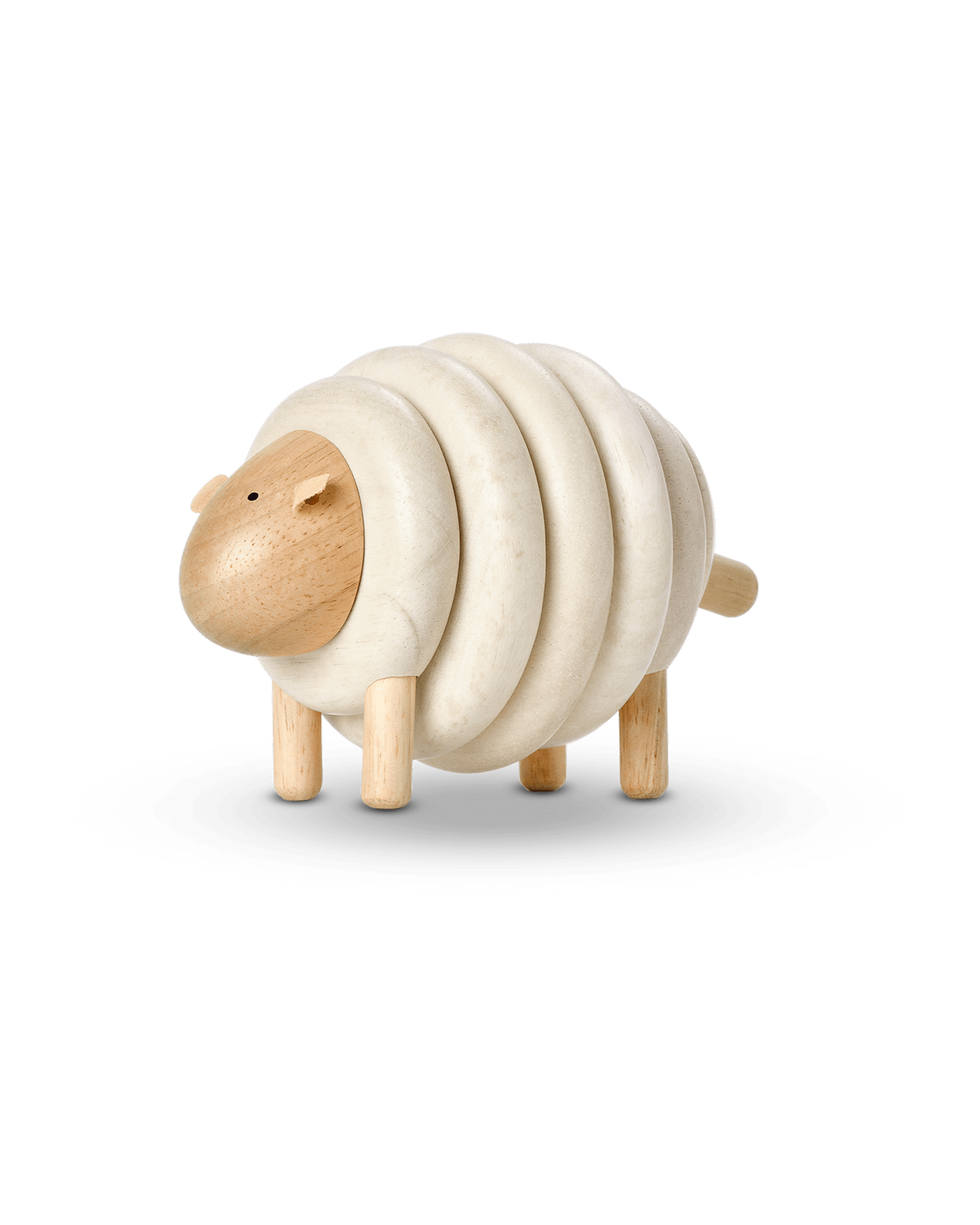  Image of Lacing Sheep
