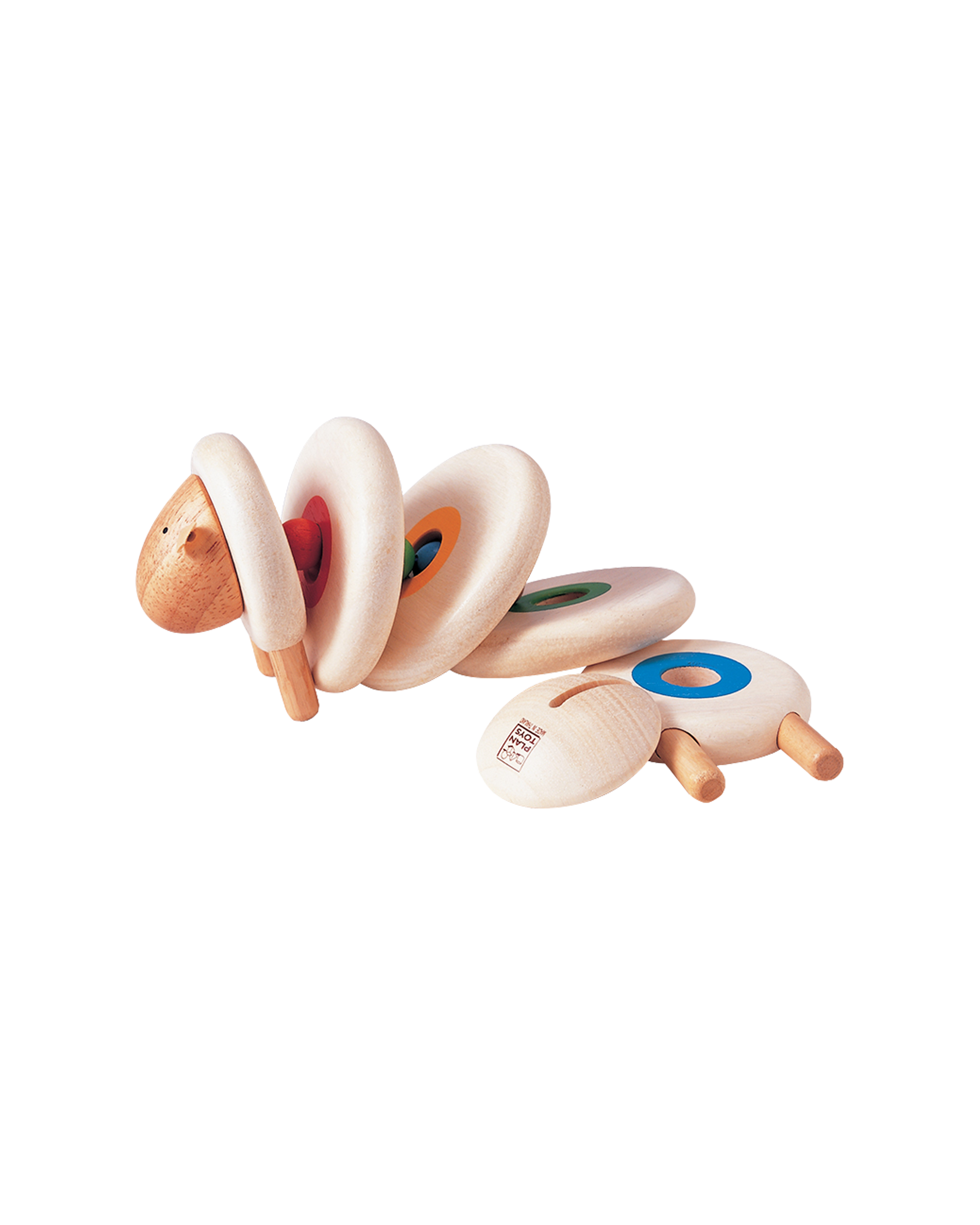  Image of Lacing Sheep