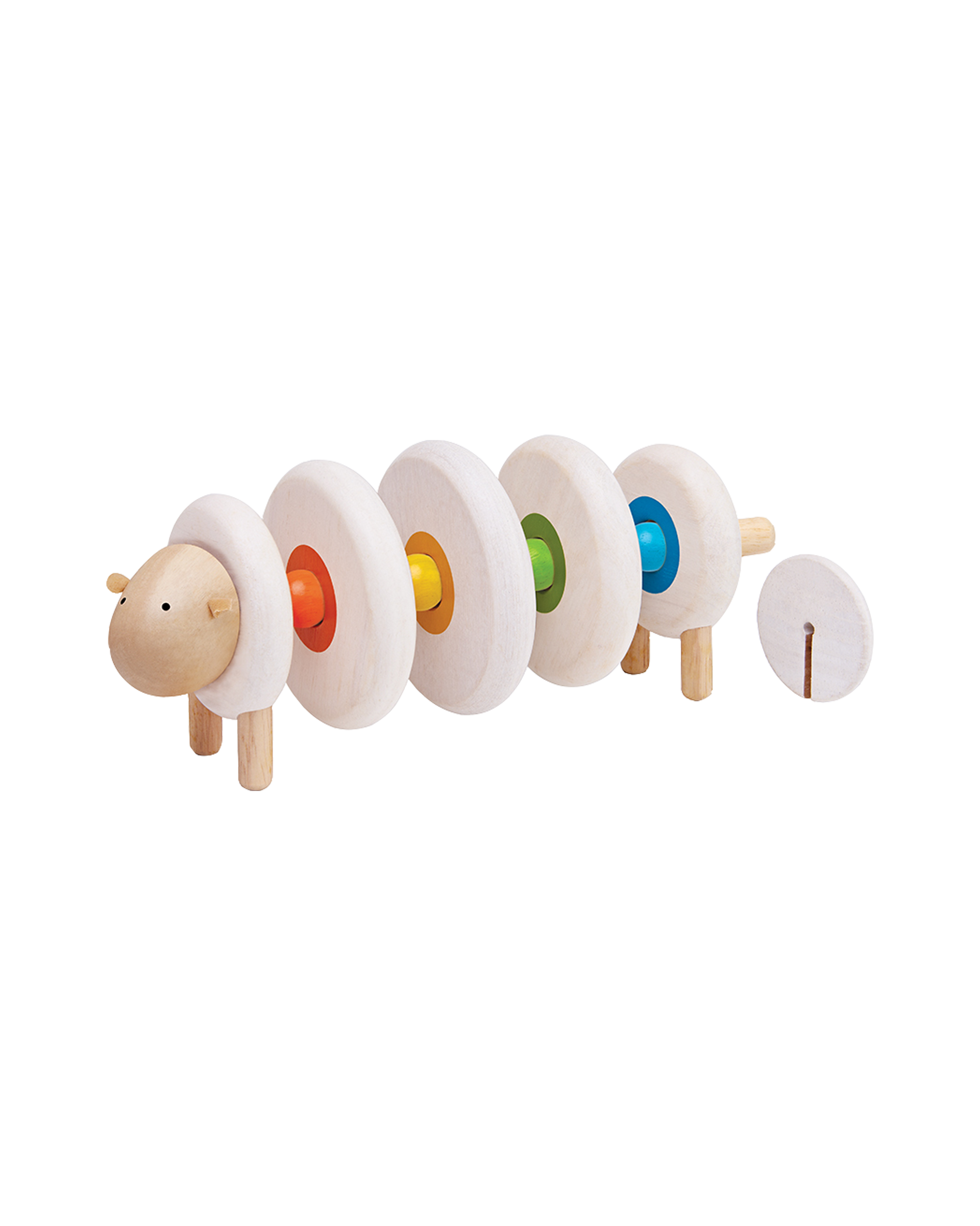  Image of Lacing Sheep