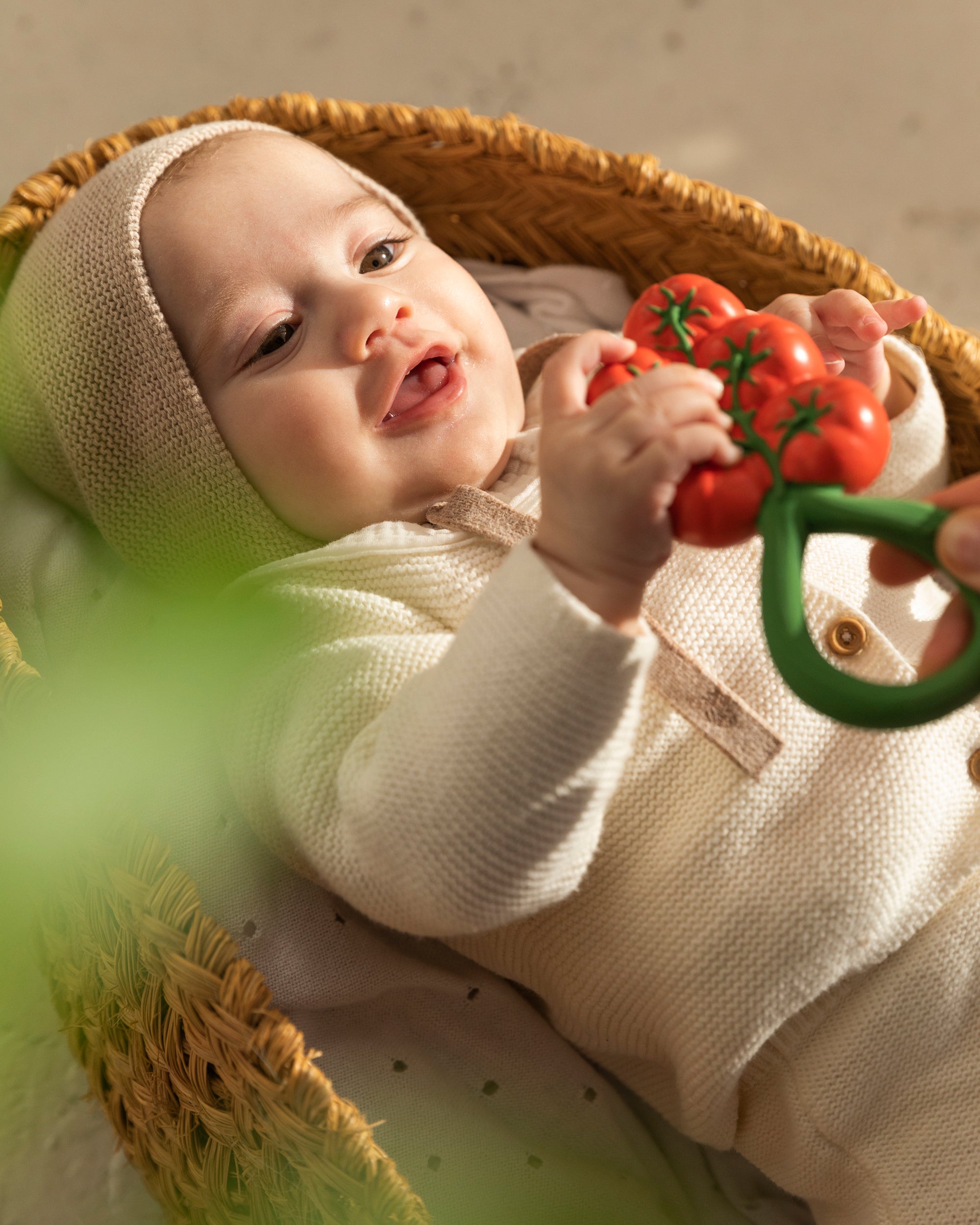 Tomato Rattle Toy