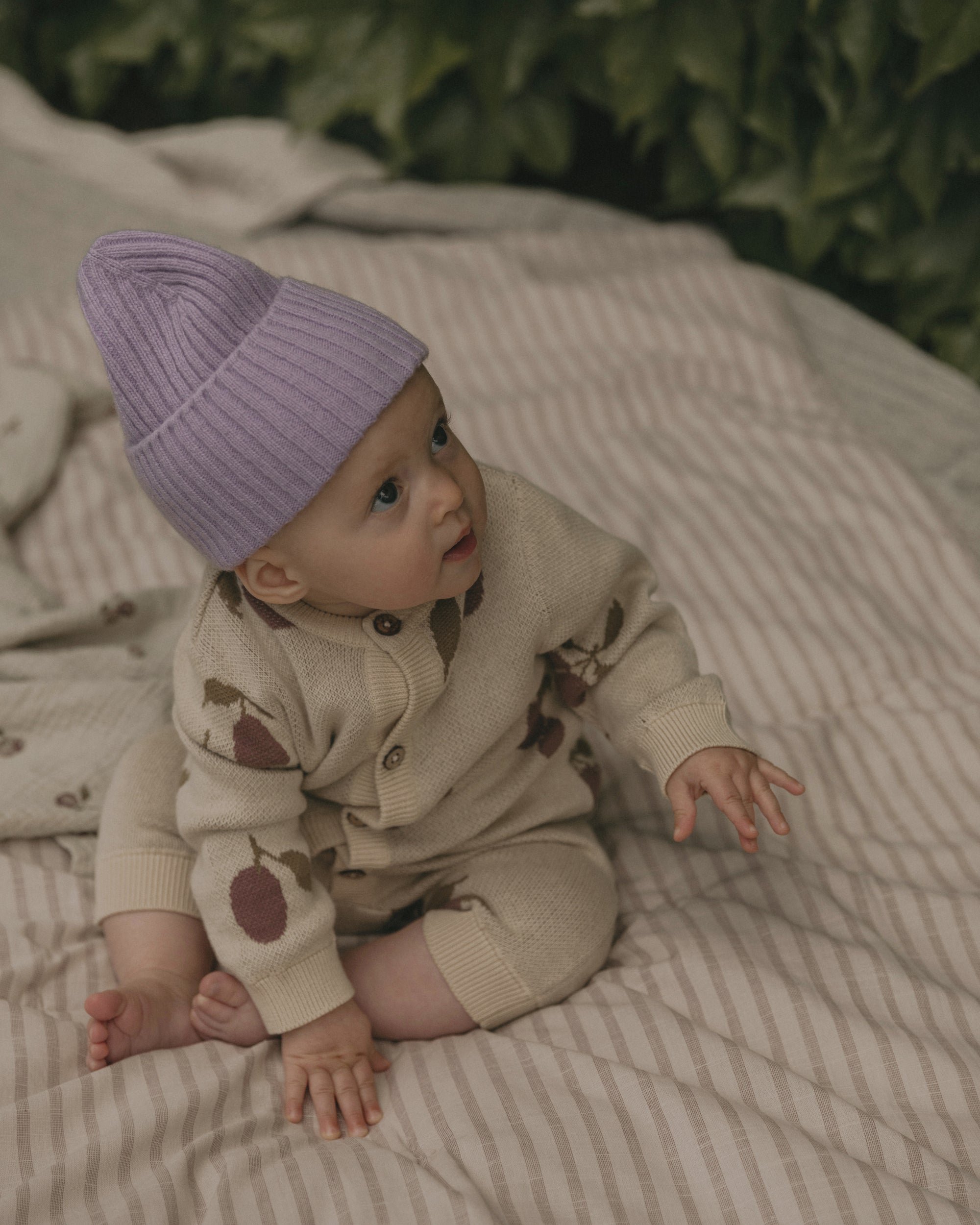  Image of Filled Blanket