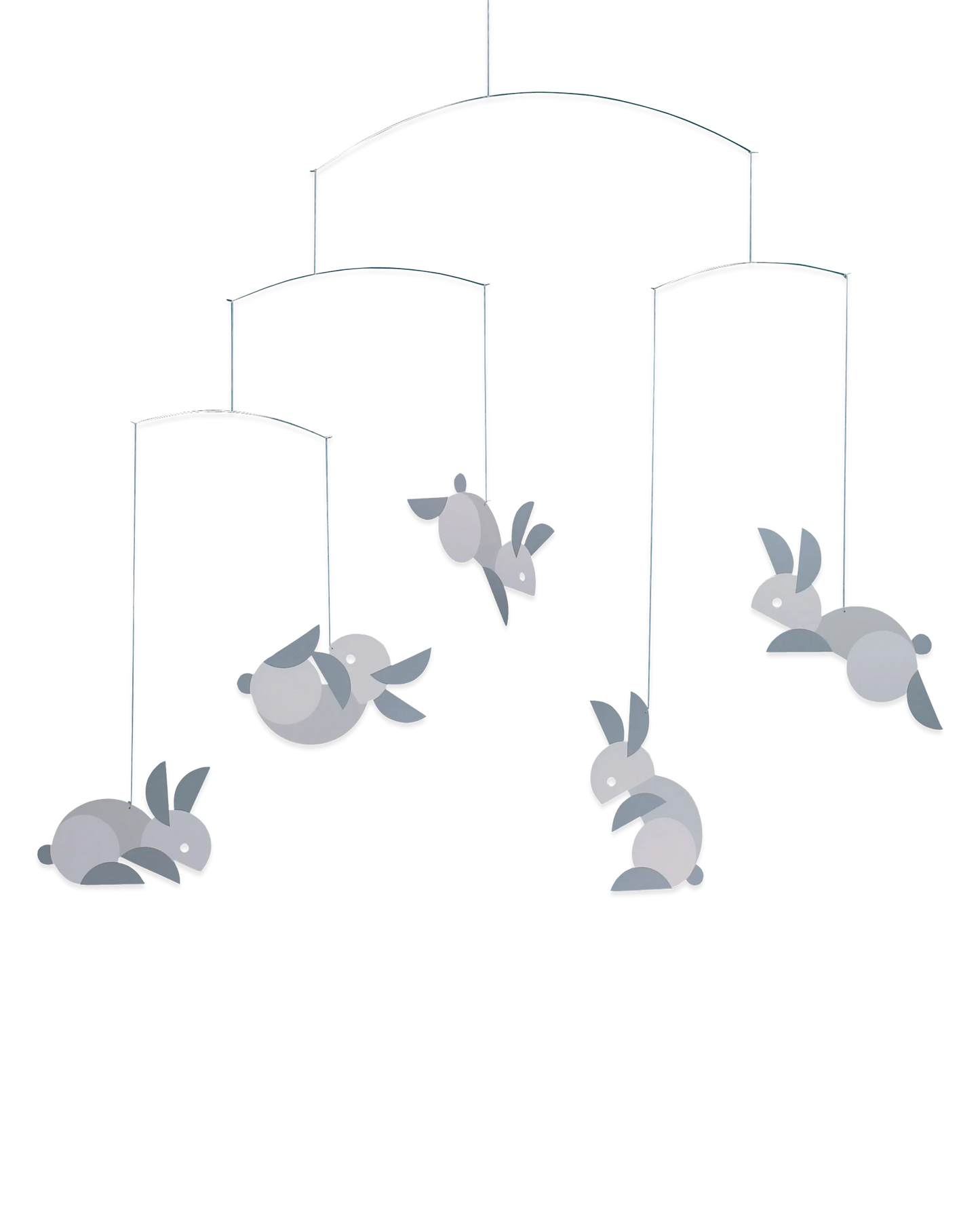Circular Bunnies